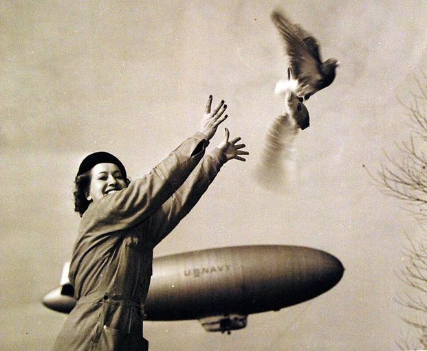 How Pigeons Helped U.S. Navy Blimps Hunt German U-Boats in World War II How Pigeons Helped U.S. Navy Blimps Hunt German U-Boats in World War II