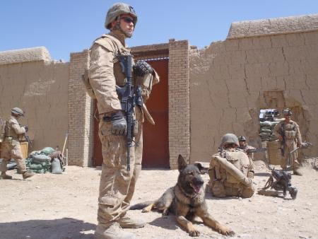 K9 Hero: Marine Survives Afghanistan IED After Dog’s Ultimate Sacrifice K9 Hero: Marine Survives Afghanistan IED After Dog’s Ultimate Sacrifice