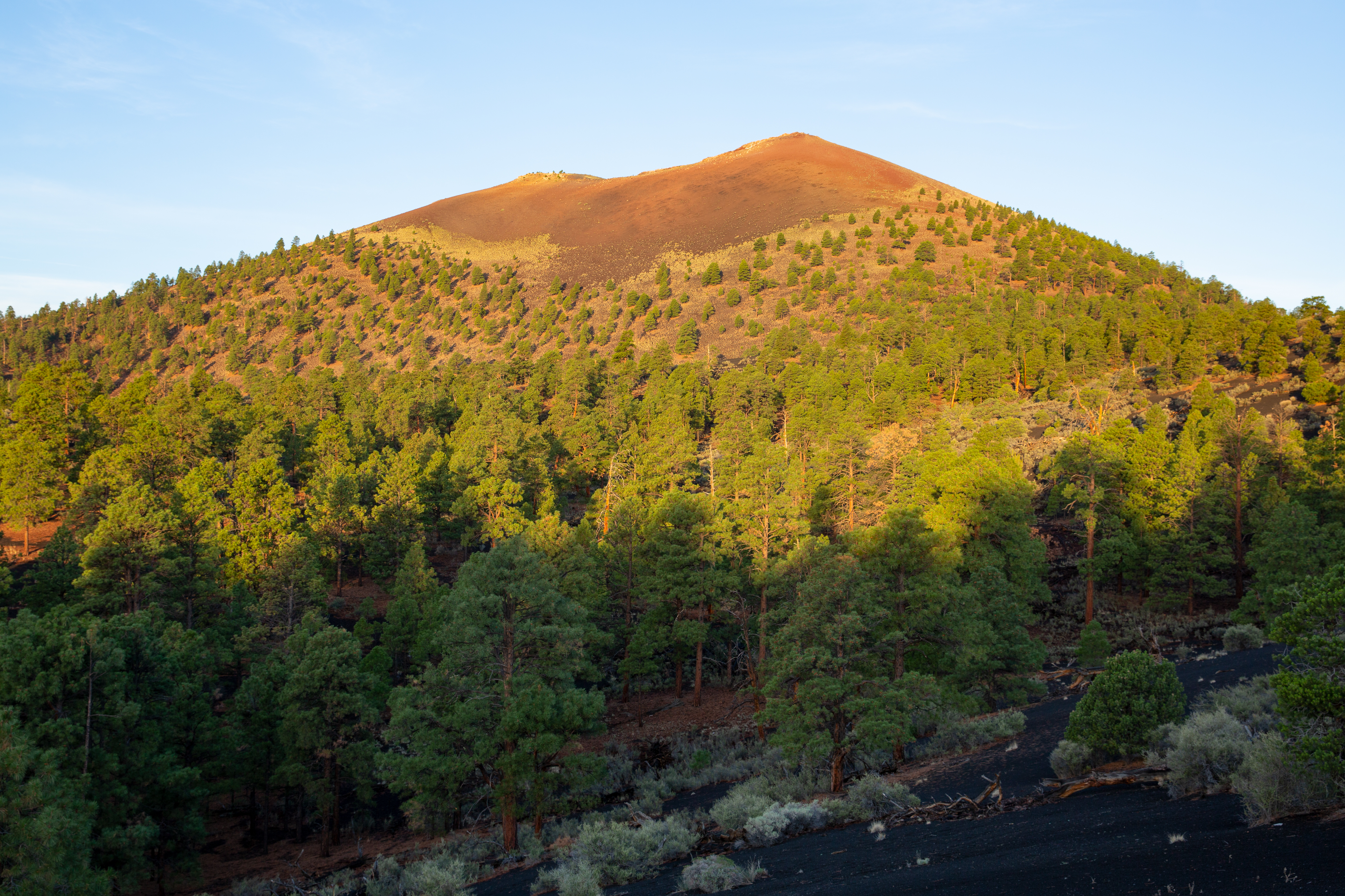 Sunrise in Sunset Crater Volcano National Monument, Arizona, USA