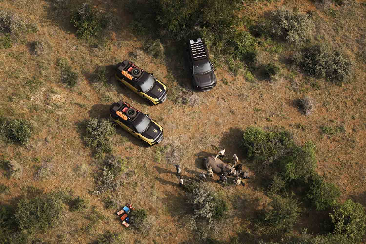 2026 Defender Trophy