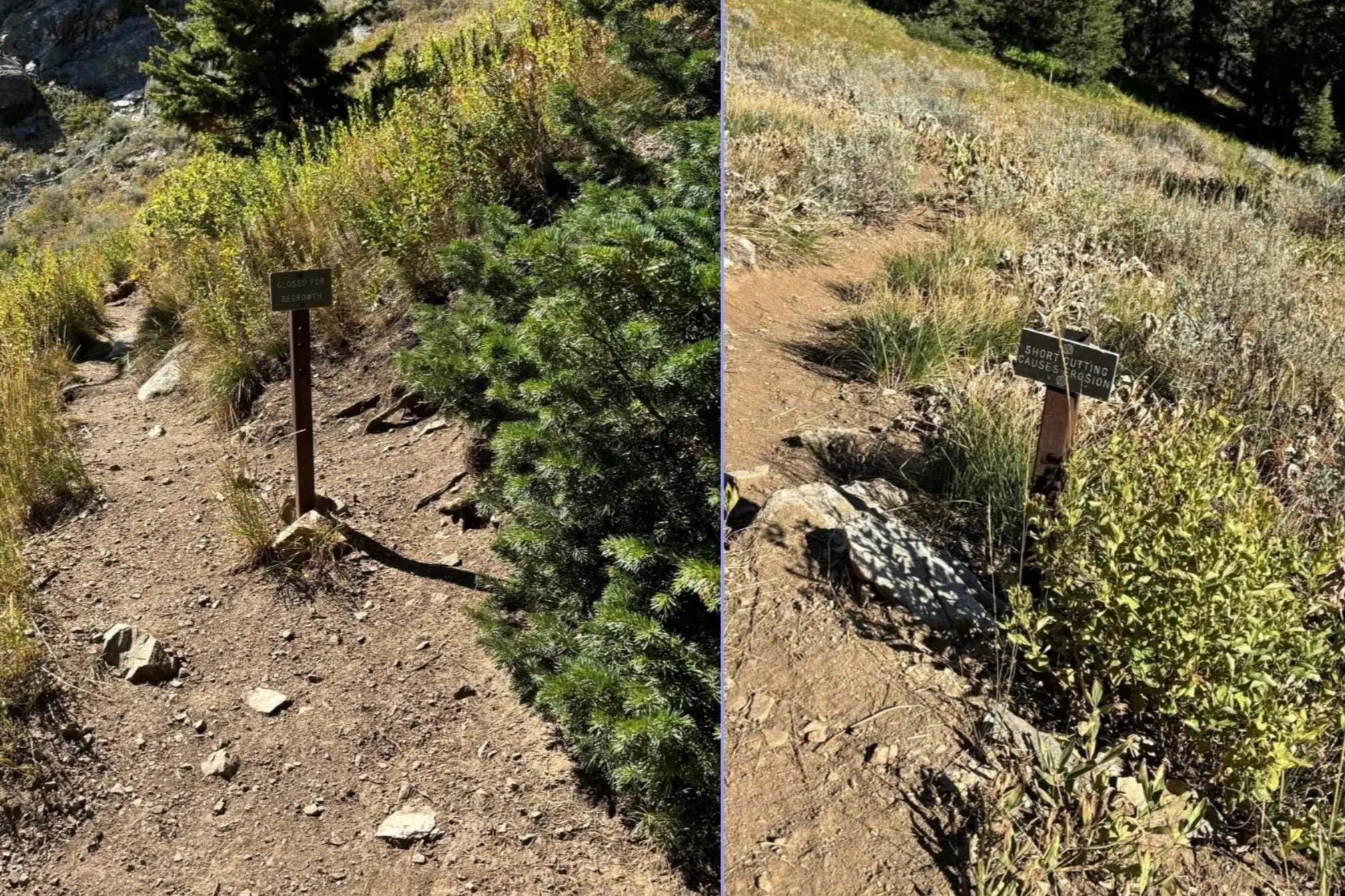 The switchback where Michelino Sunseri departed from the trail on his Grand Teton FKT attempt