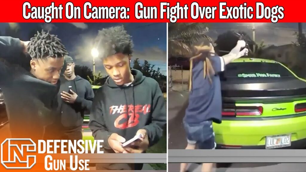 Exotic Dog Deal Turns Into a Gunfight On Camera… What Went Wrong?