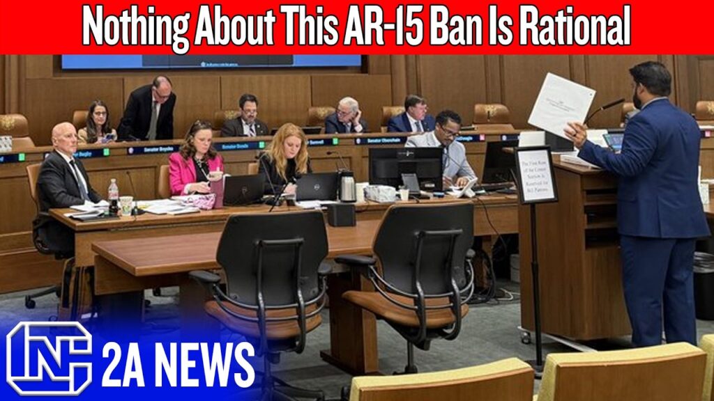 They’ve Completely Lost Their Minds With This New AR-15 Ban
