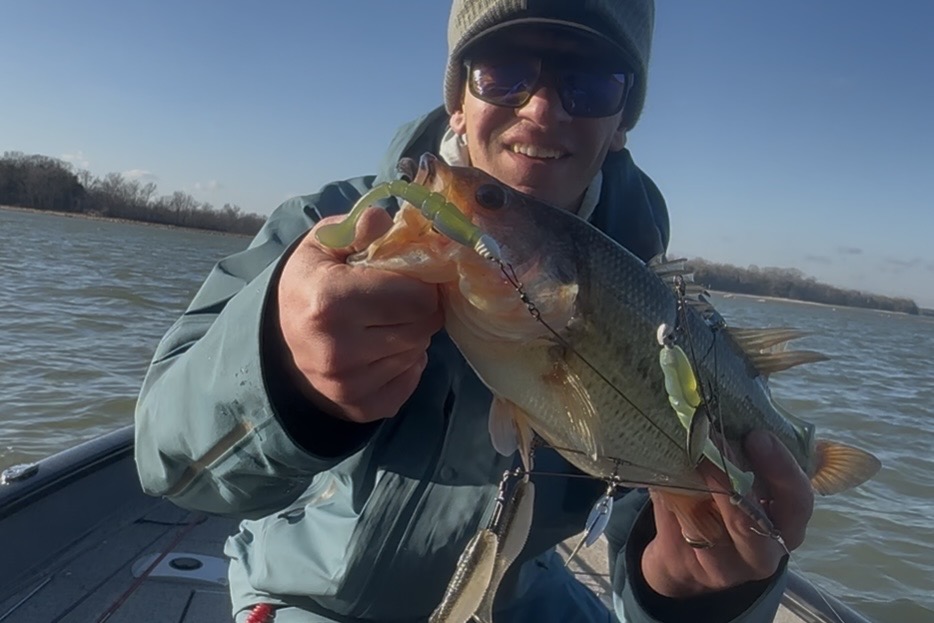 An angler holding a bass with an A-Rig in its mouth.