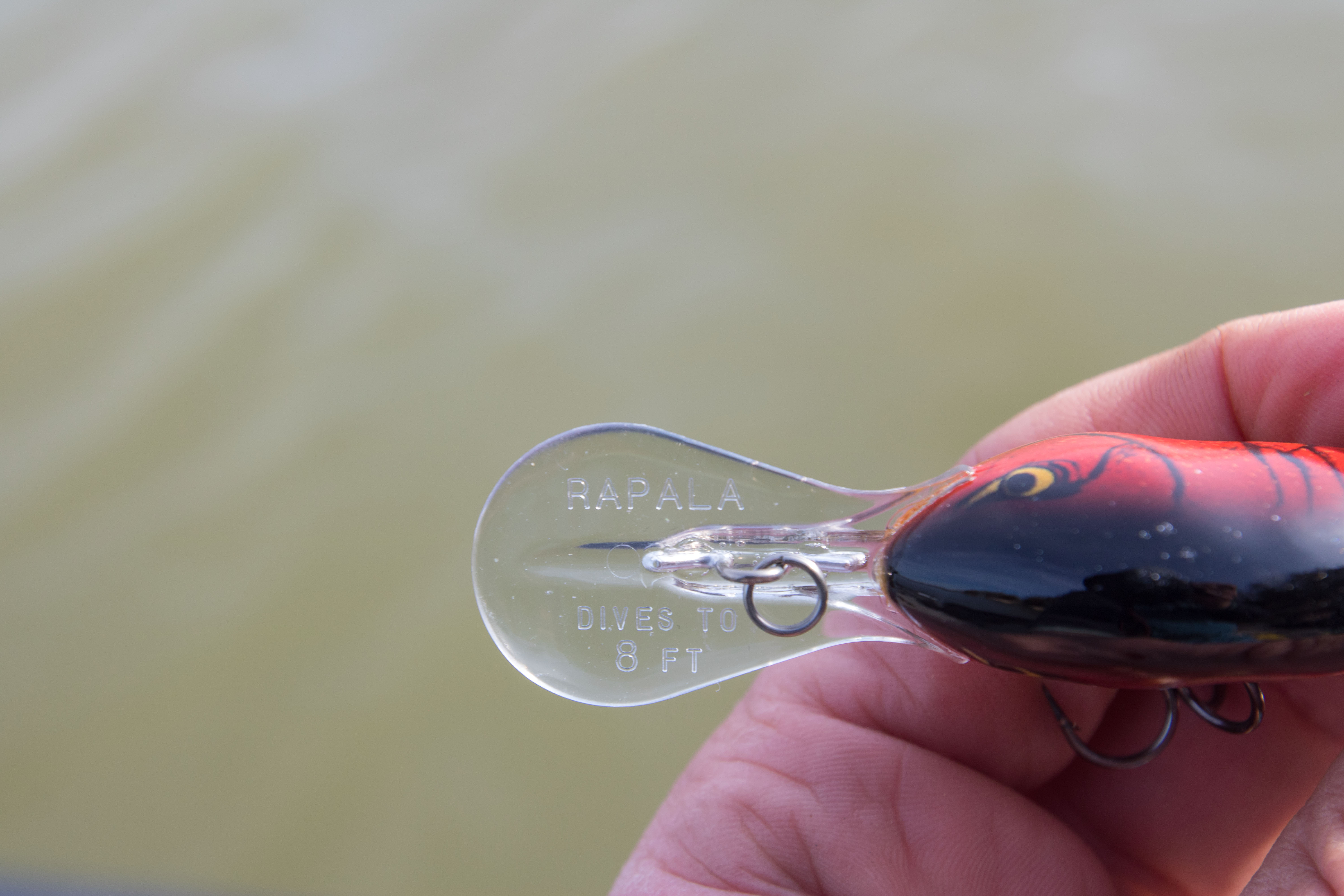 The lip of a DT crankbait, which shows the depth, a nifty feature when selecting a crankbait.