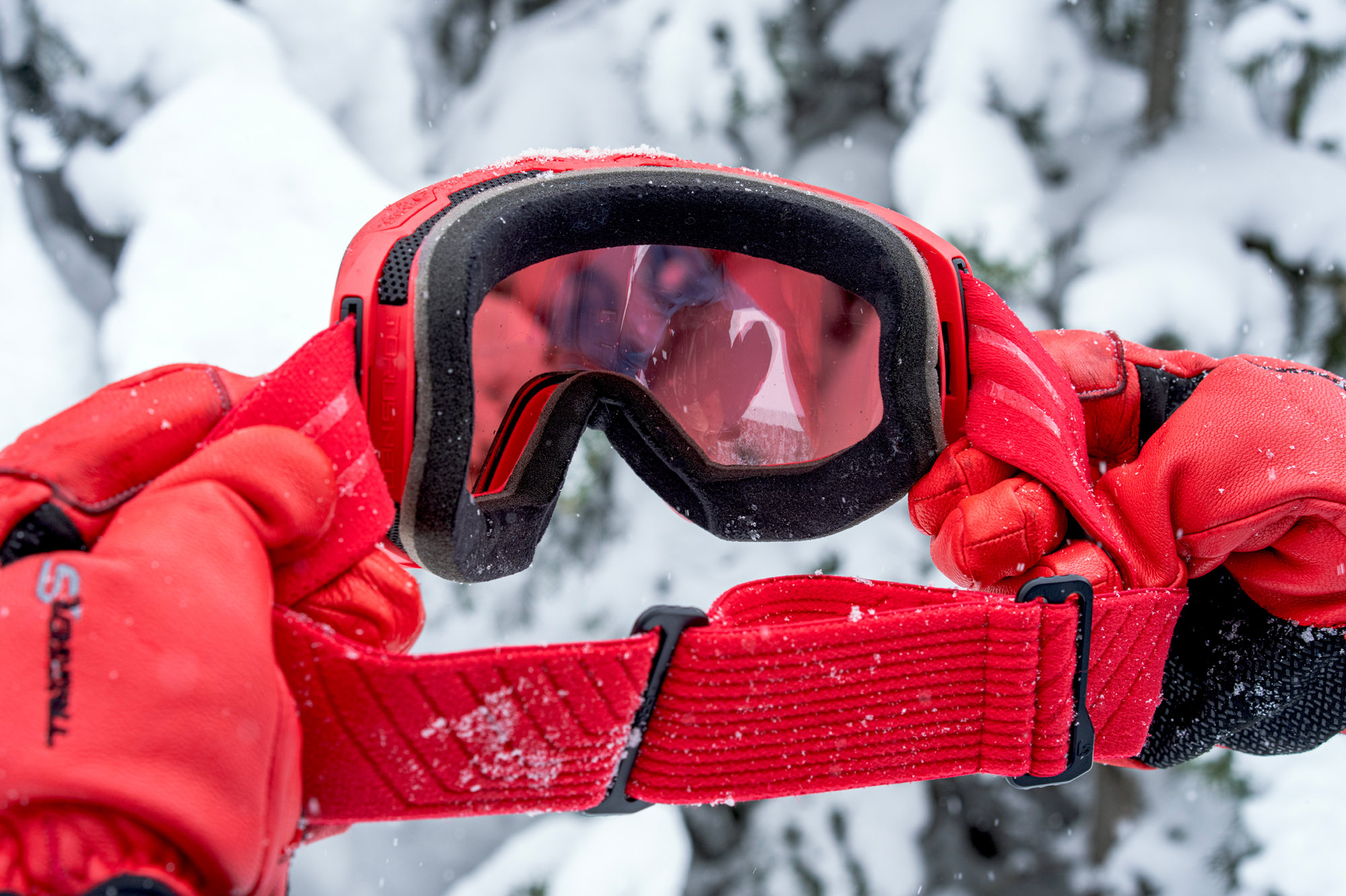 goggle strap and interior lens 