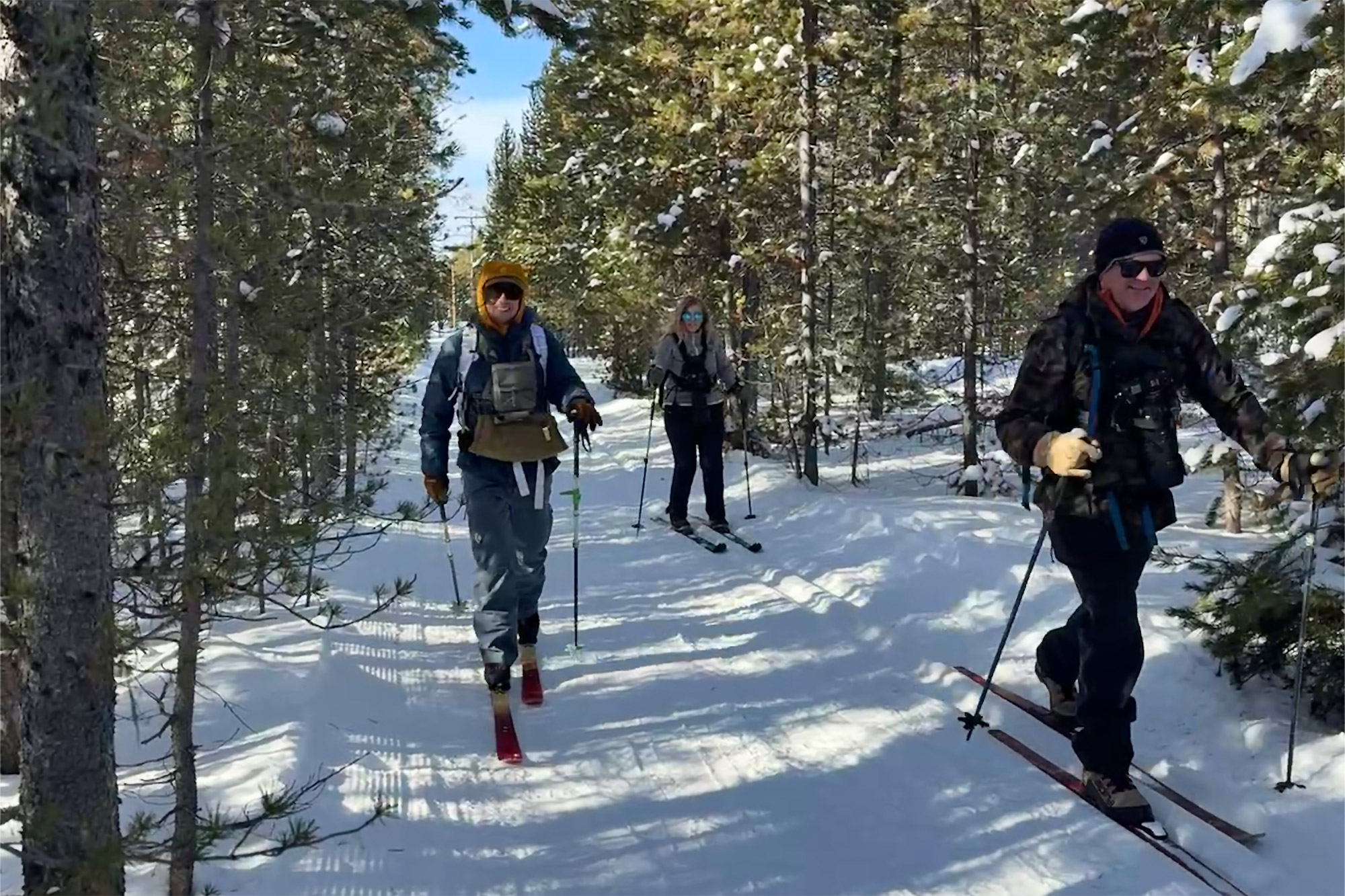 Three skiers travel along a snowy forest trail using the XP 105 Positrack skis