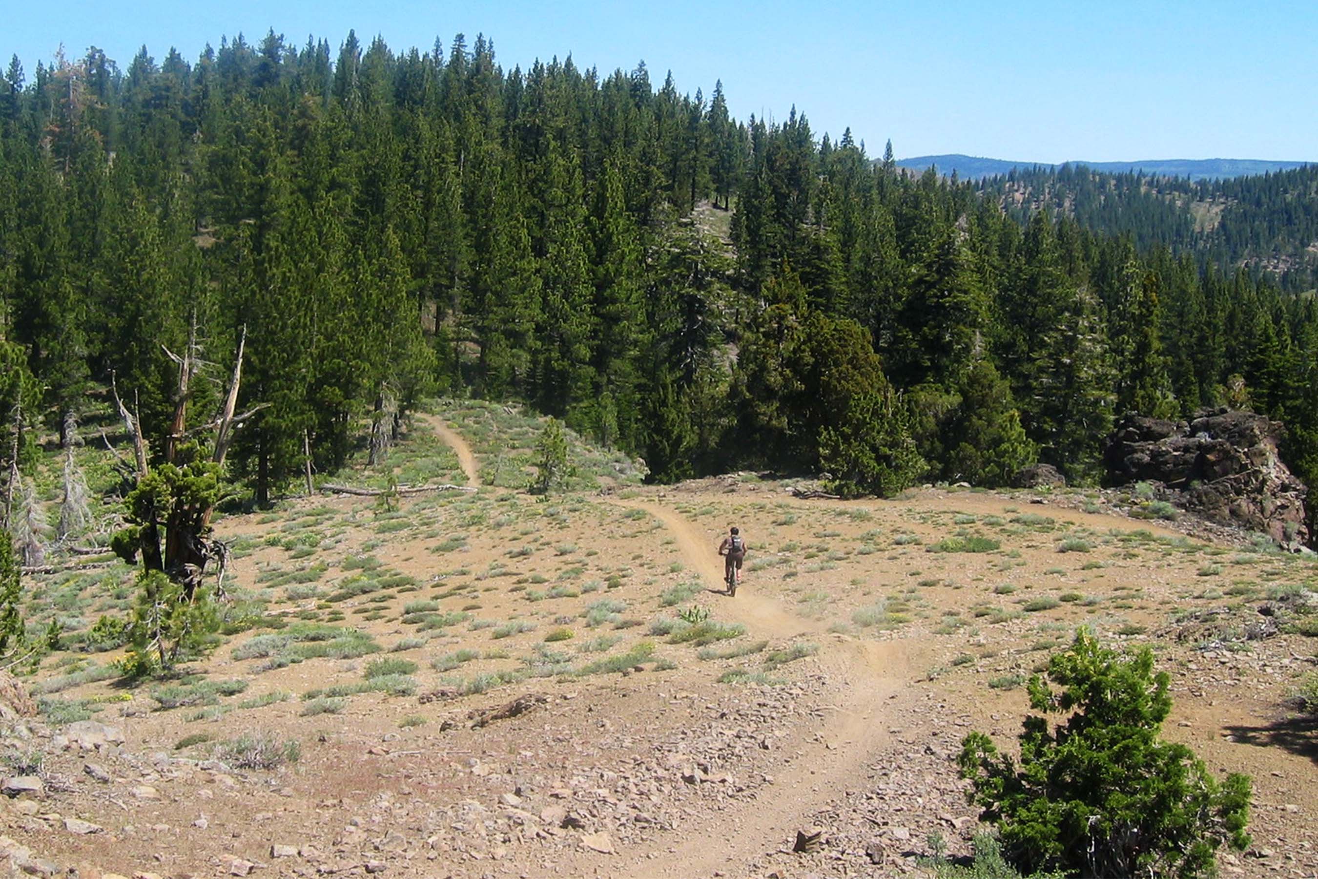 Biker on a trail in Tahoe area.