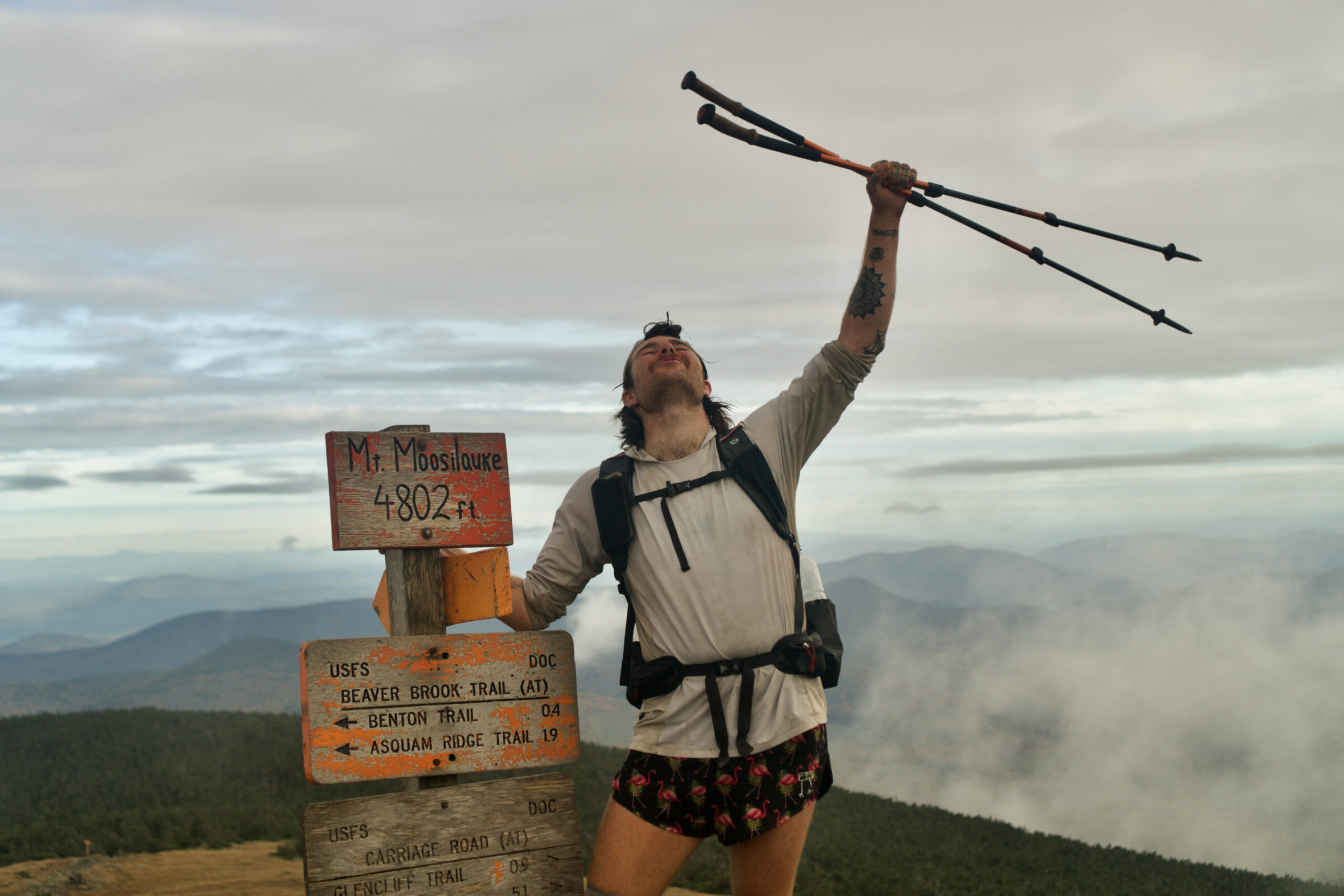 A man cheers at the top of a mountain lifting up two trekking poles