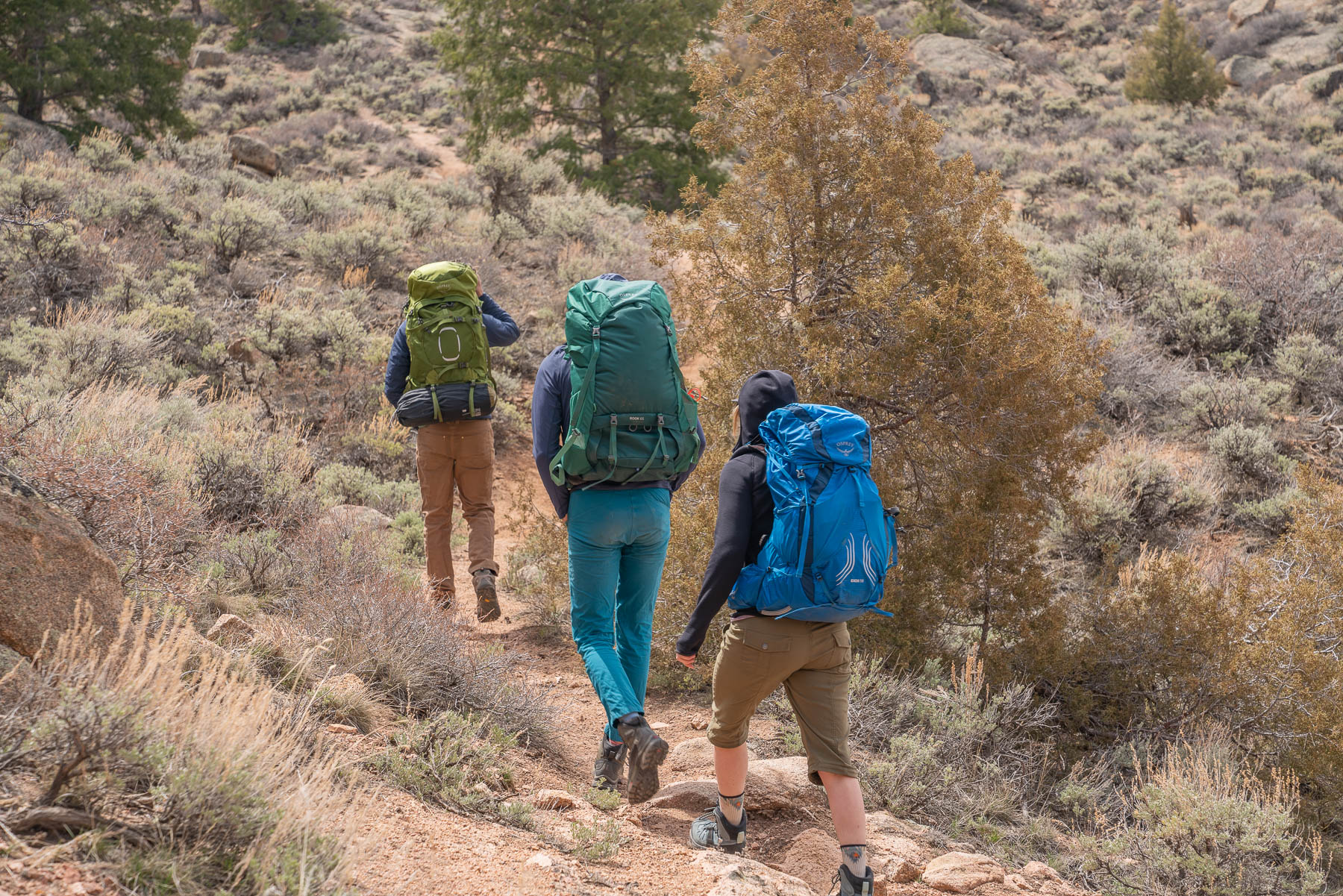 A group of backpackers on trail. 