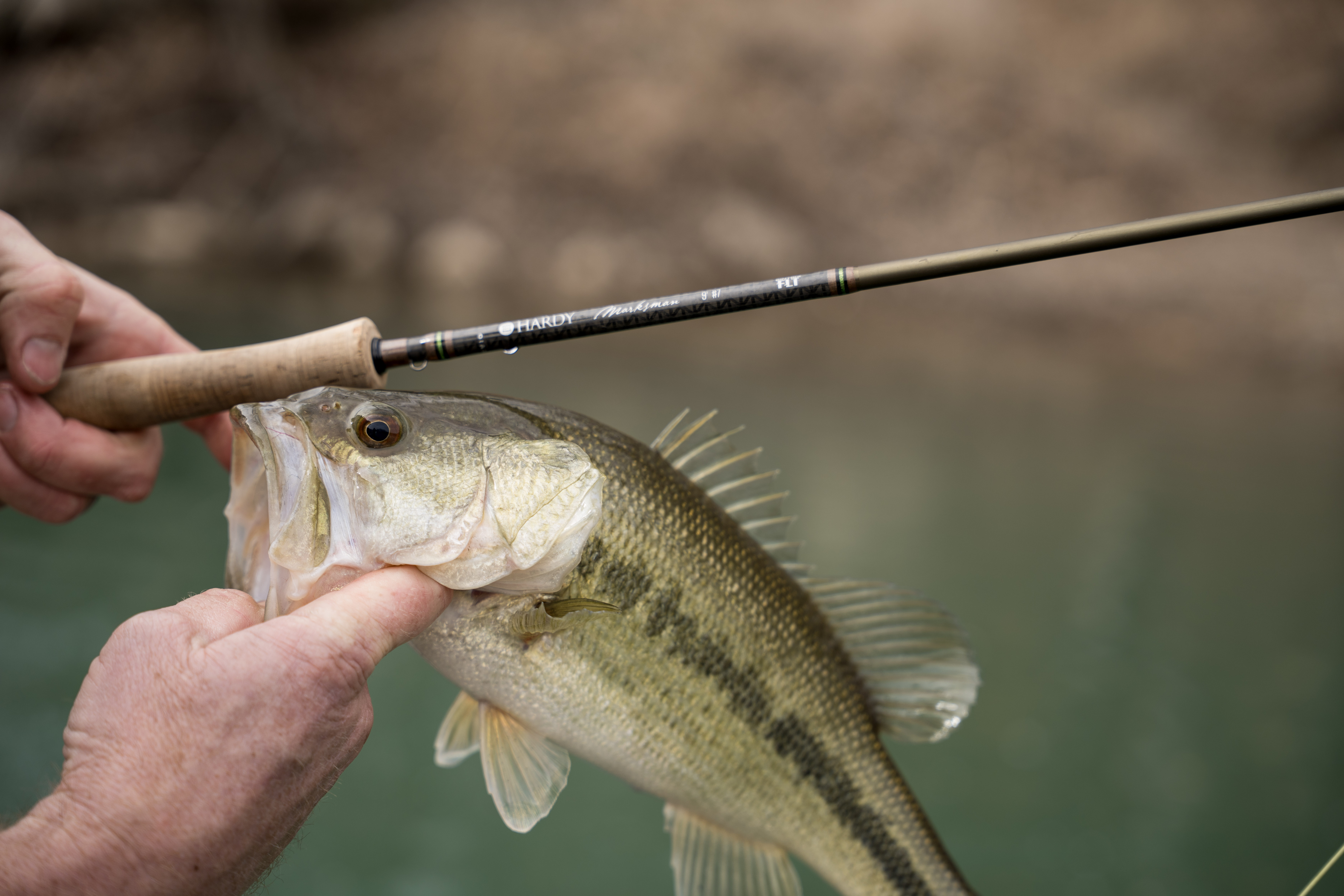 A bass next to the Hardy Marksman fly rod.