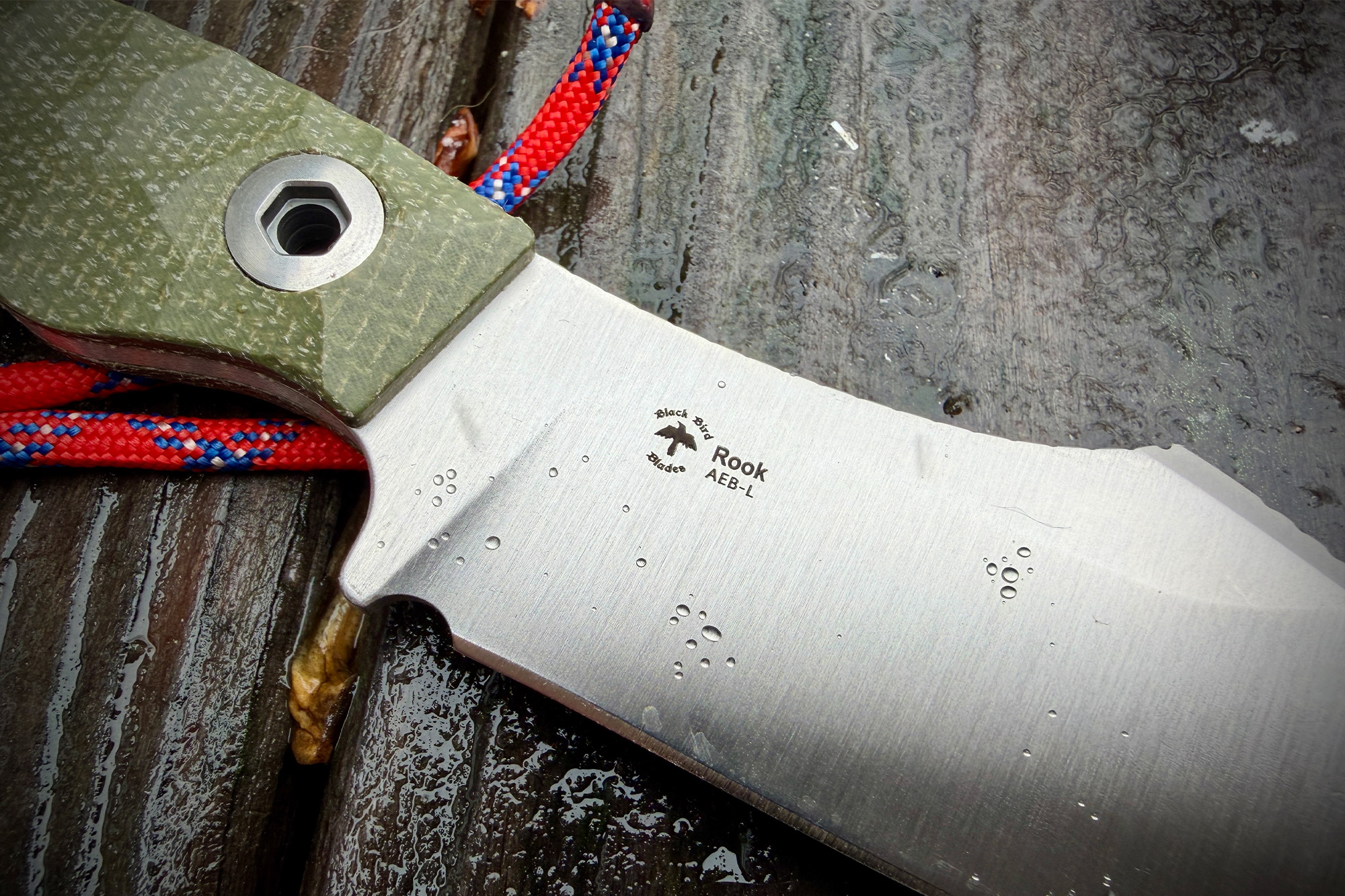 Close-up of the Kizer Rook blade with branding and model markings visible