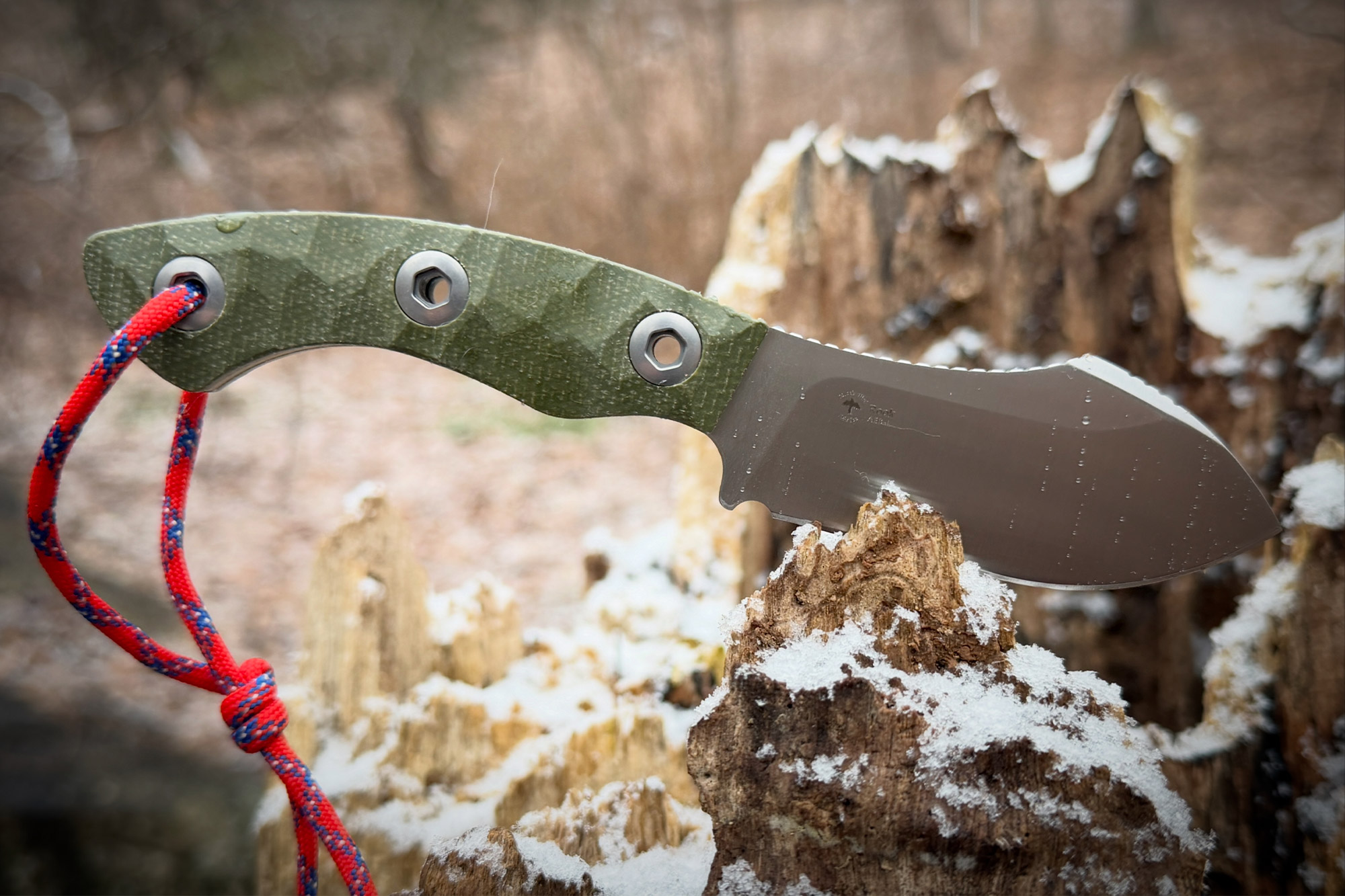 The Kizer Rook positioned on a snow-covered tree stump outdoors