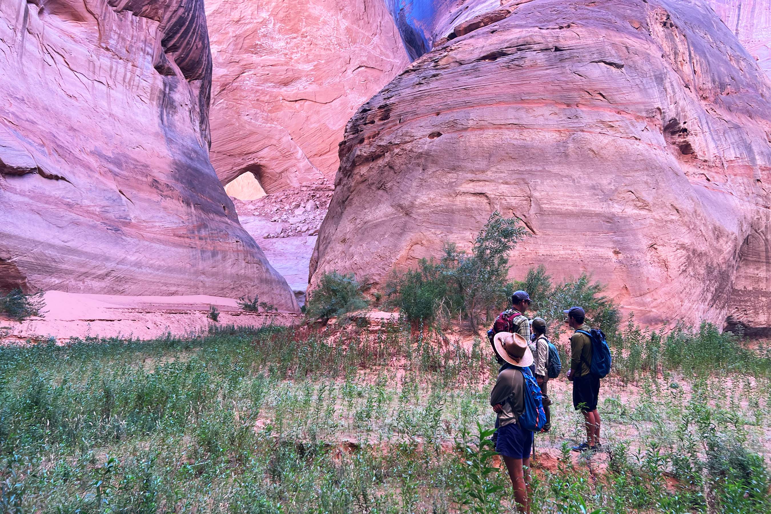 Hiking into Glen Canyon's side canyons.