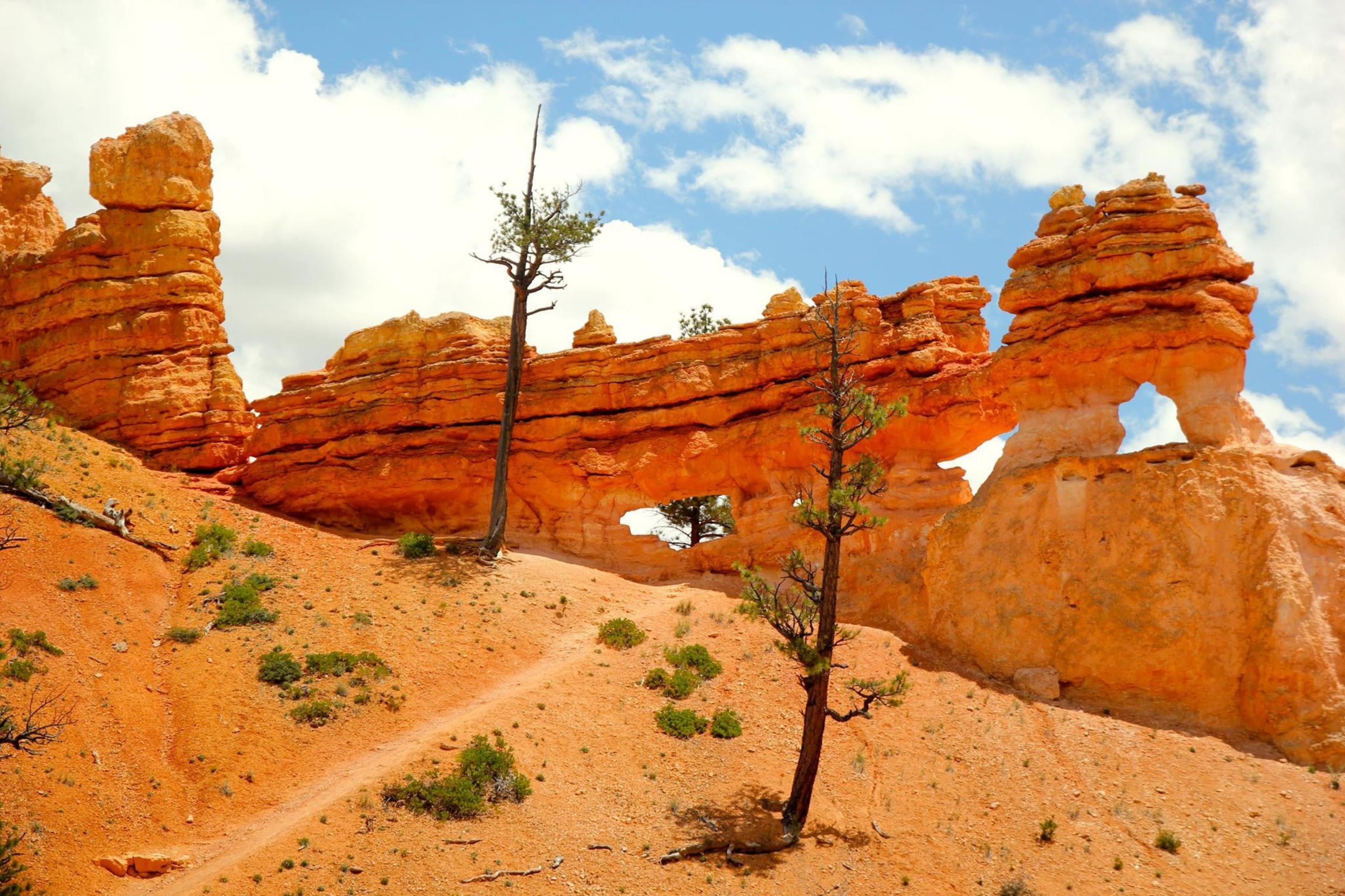 rock formations in desert