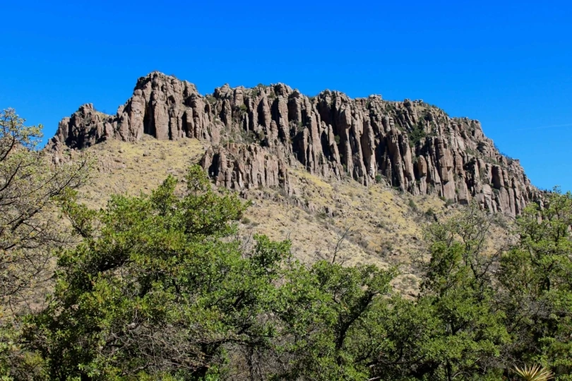 view from below of trees and rocky pinnacles
