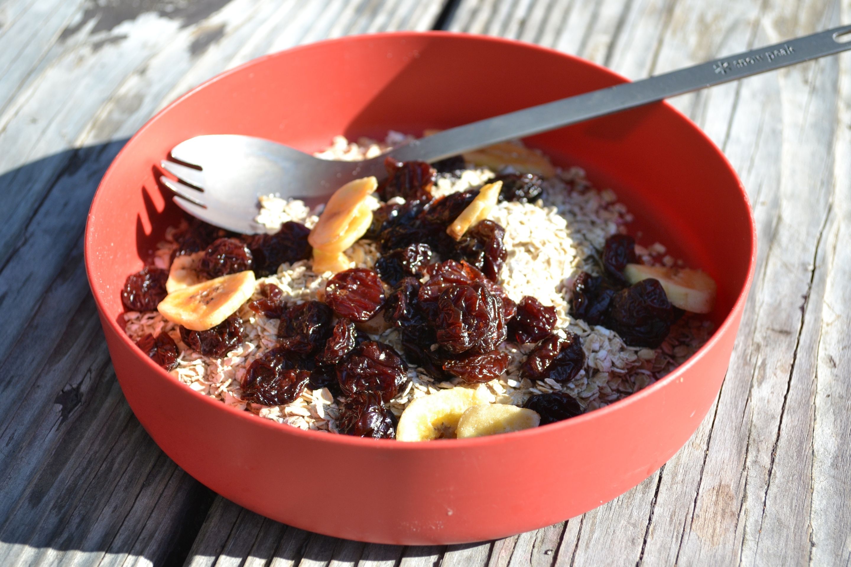 bowl with oatmeal and dried fruit