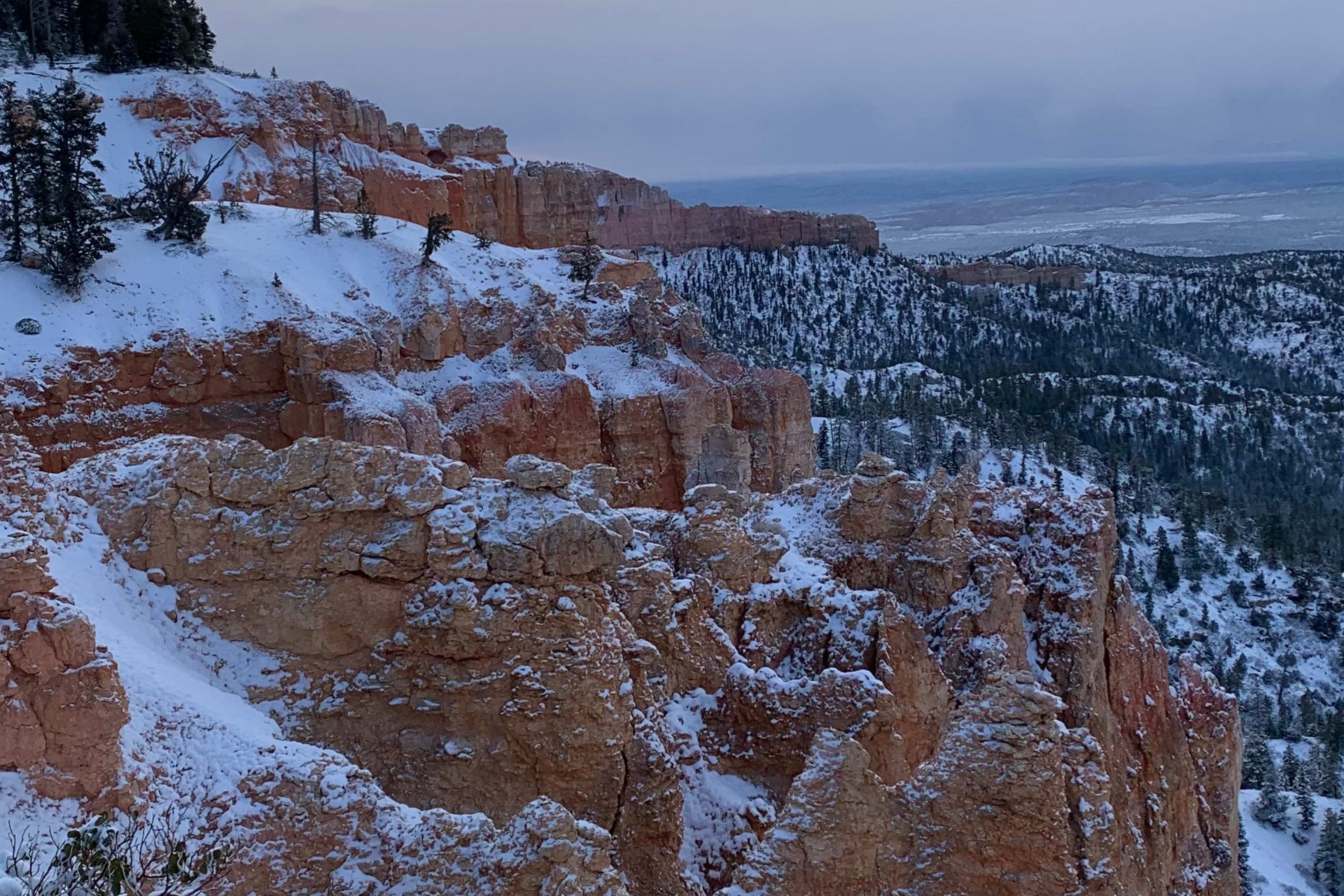 snowy day in bryce canyon, with snow on rocks