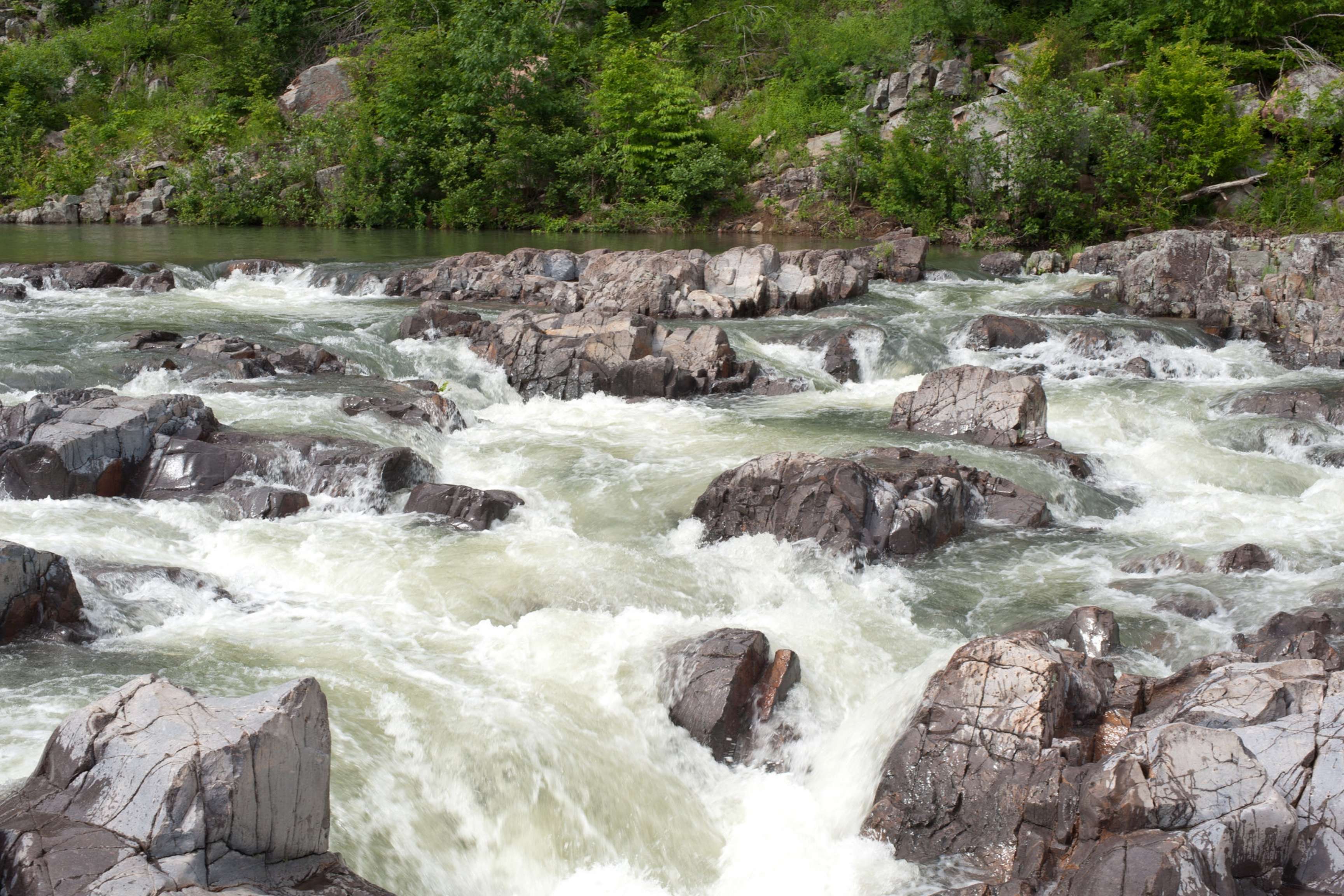 rocky river with series of rapids