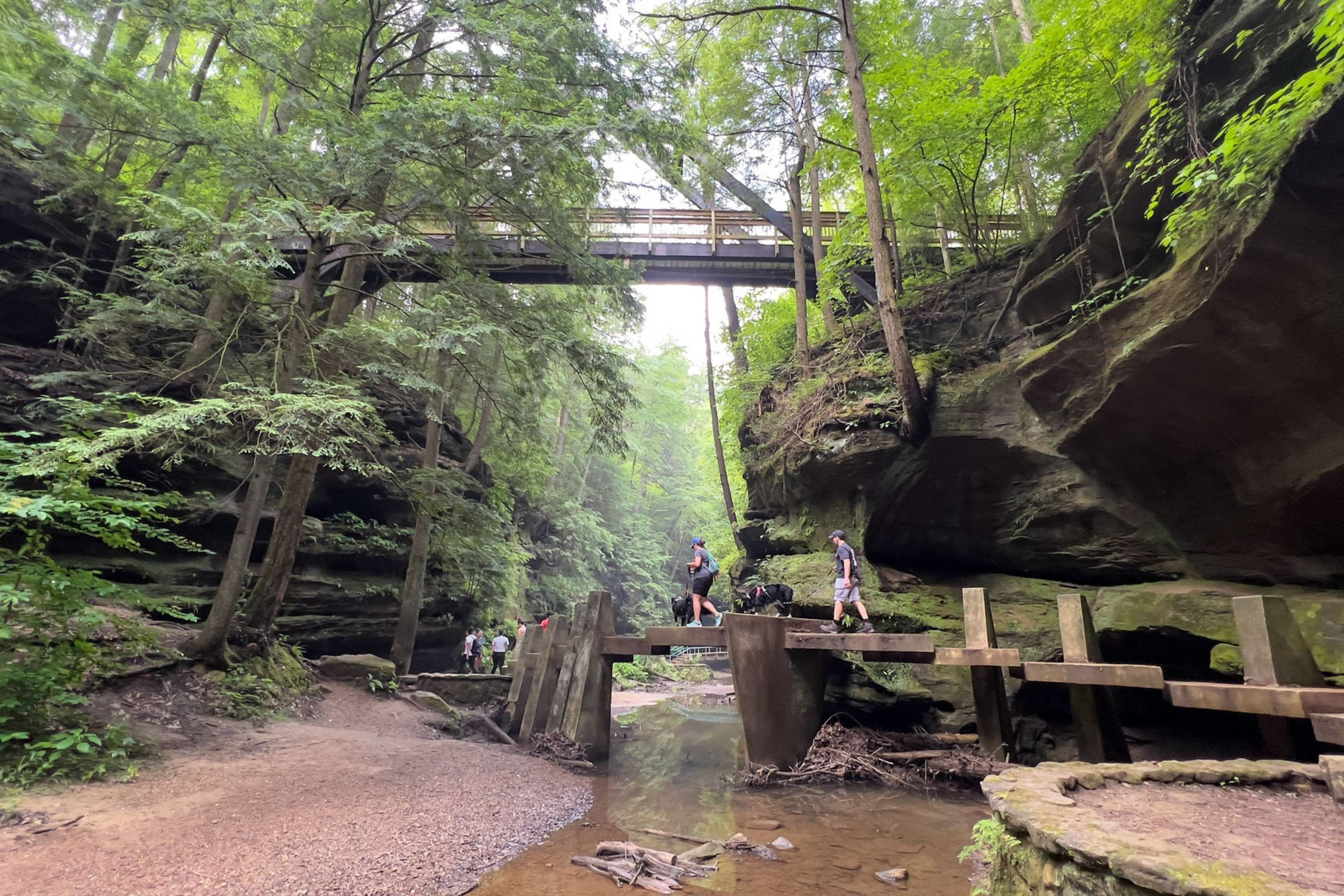 hikers cross foot bridge over stream in green forest