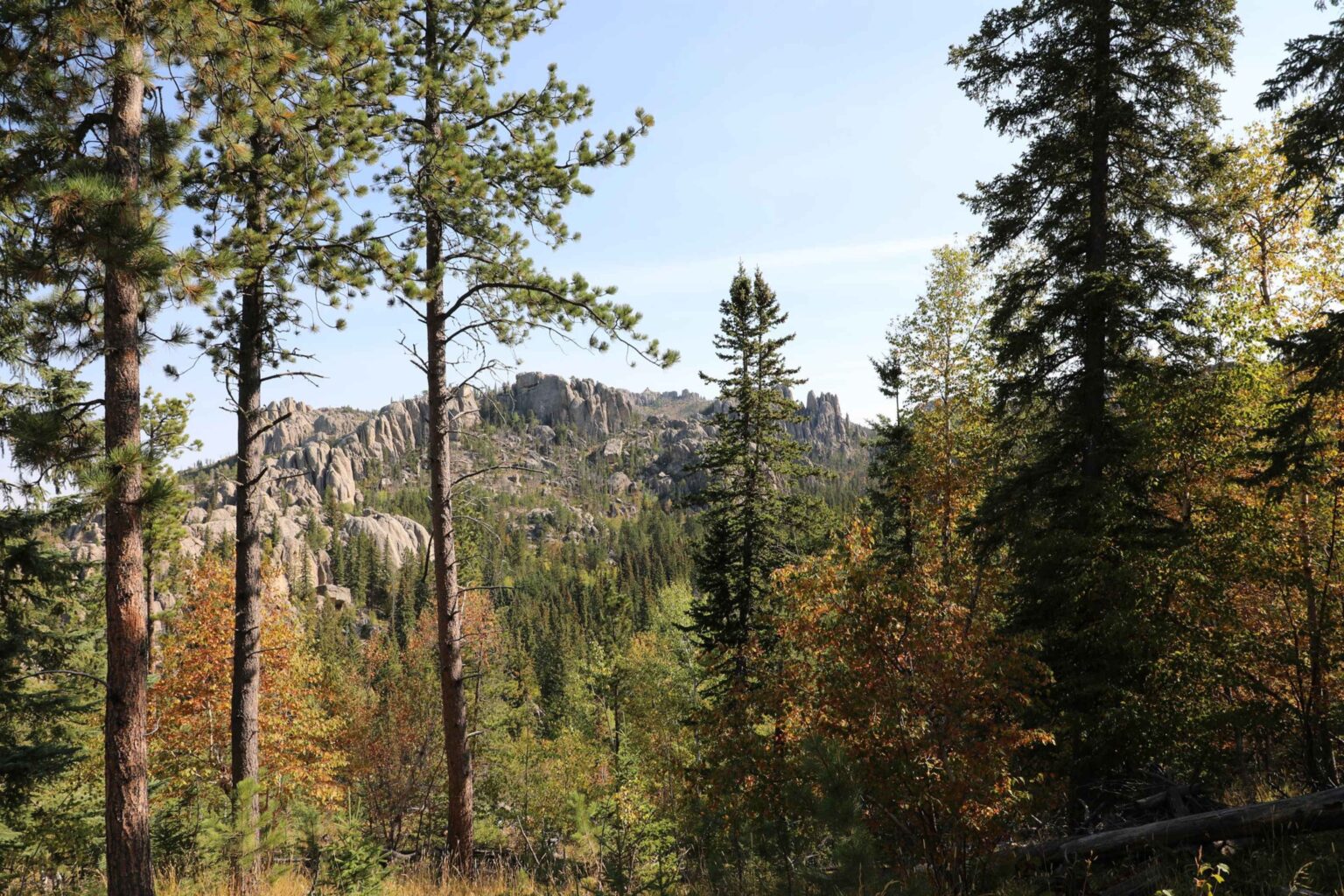 South Dakota Wildfire Shuts Down Public Lands