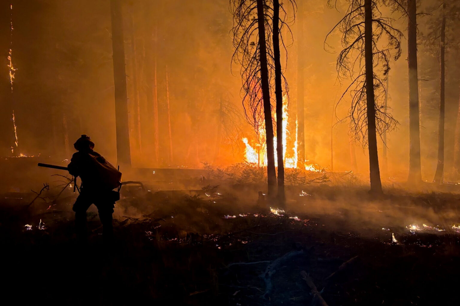 New Bill Will Help Grand Canyon National Park Reopen After Historic Wildfire