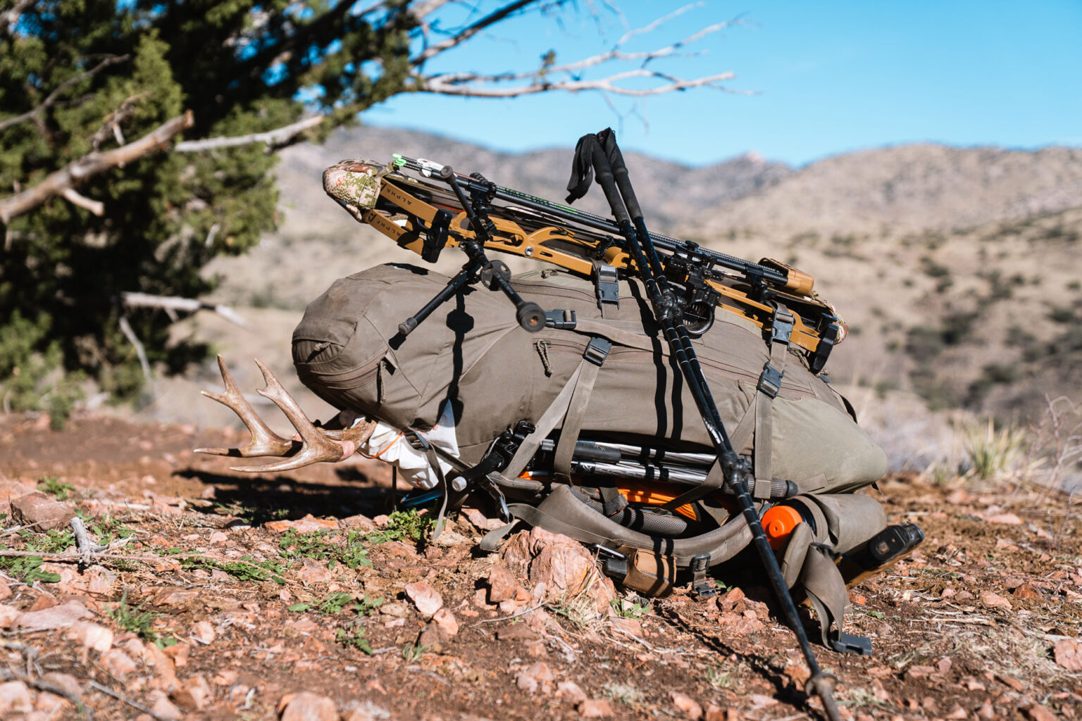 The Art of Not Quitting: How to Persevere on a Solo Backpack Hunt