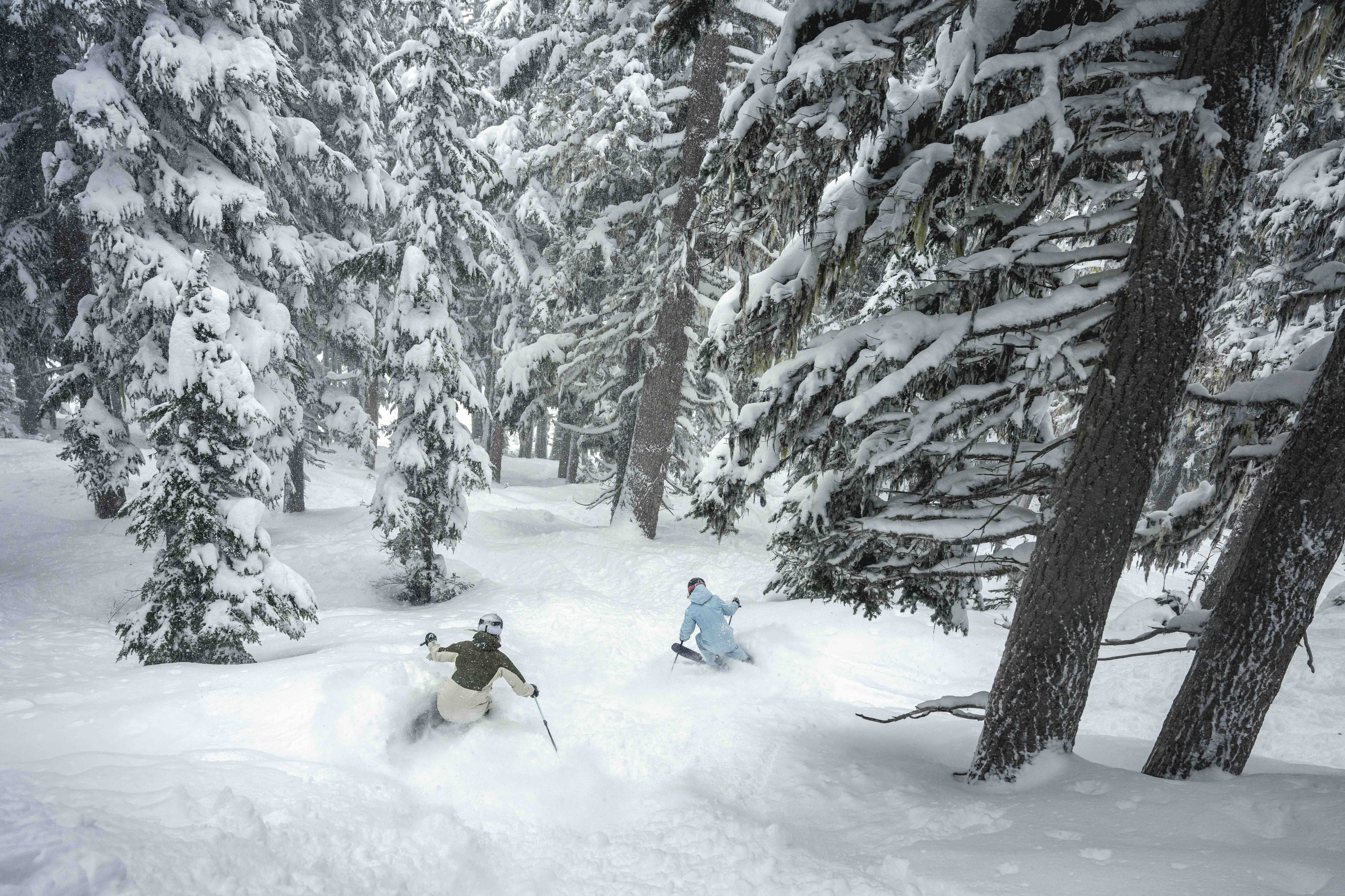 Powder skiing in Whistler, British Columbia; (photo/Destination BC)