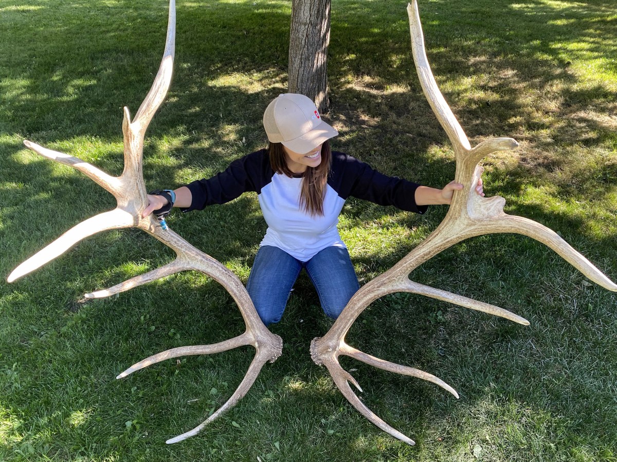 Rachelle Schrute wth elk sheds
