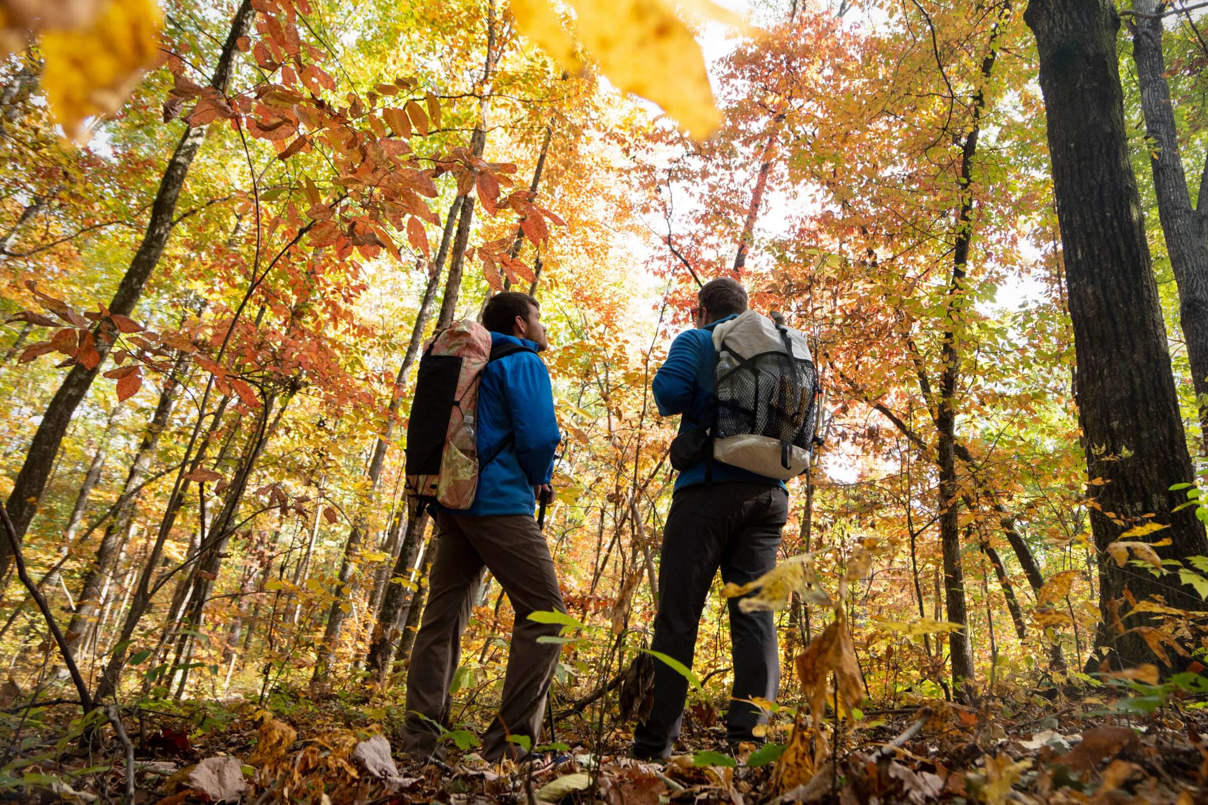 Durability and Longevity Concerns with Ultralight Backpacks