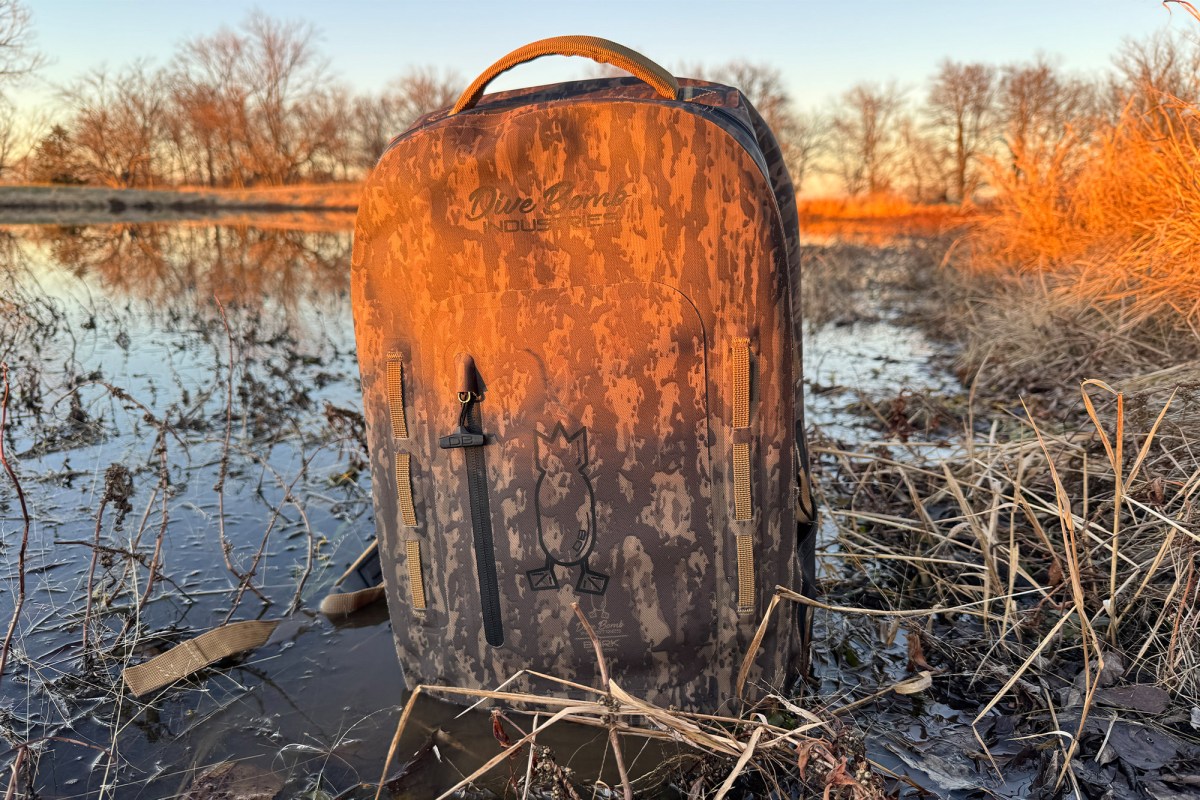 Divebomb Waterproof Zip Backpack placed upright in a marsh landscape during golden light
