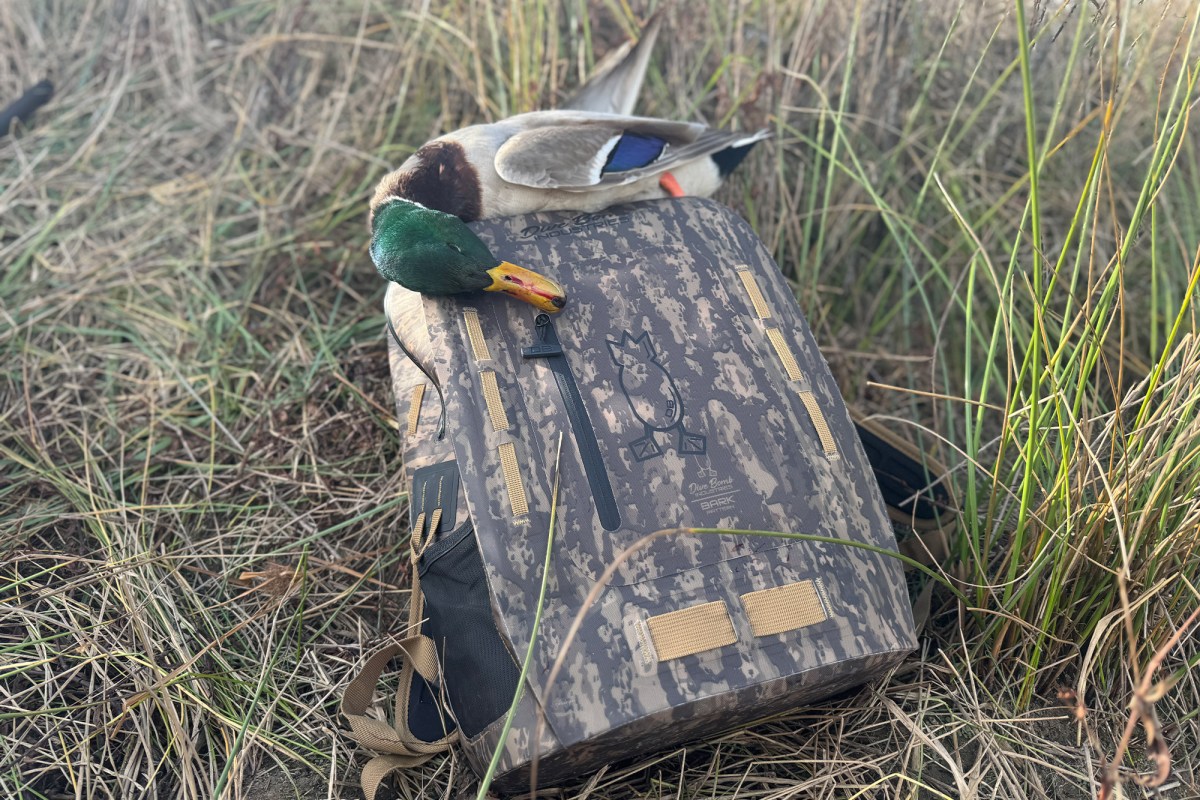 Divebomb Waterproof Zip Backpack with a duck resting on top in a grassy field