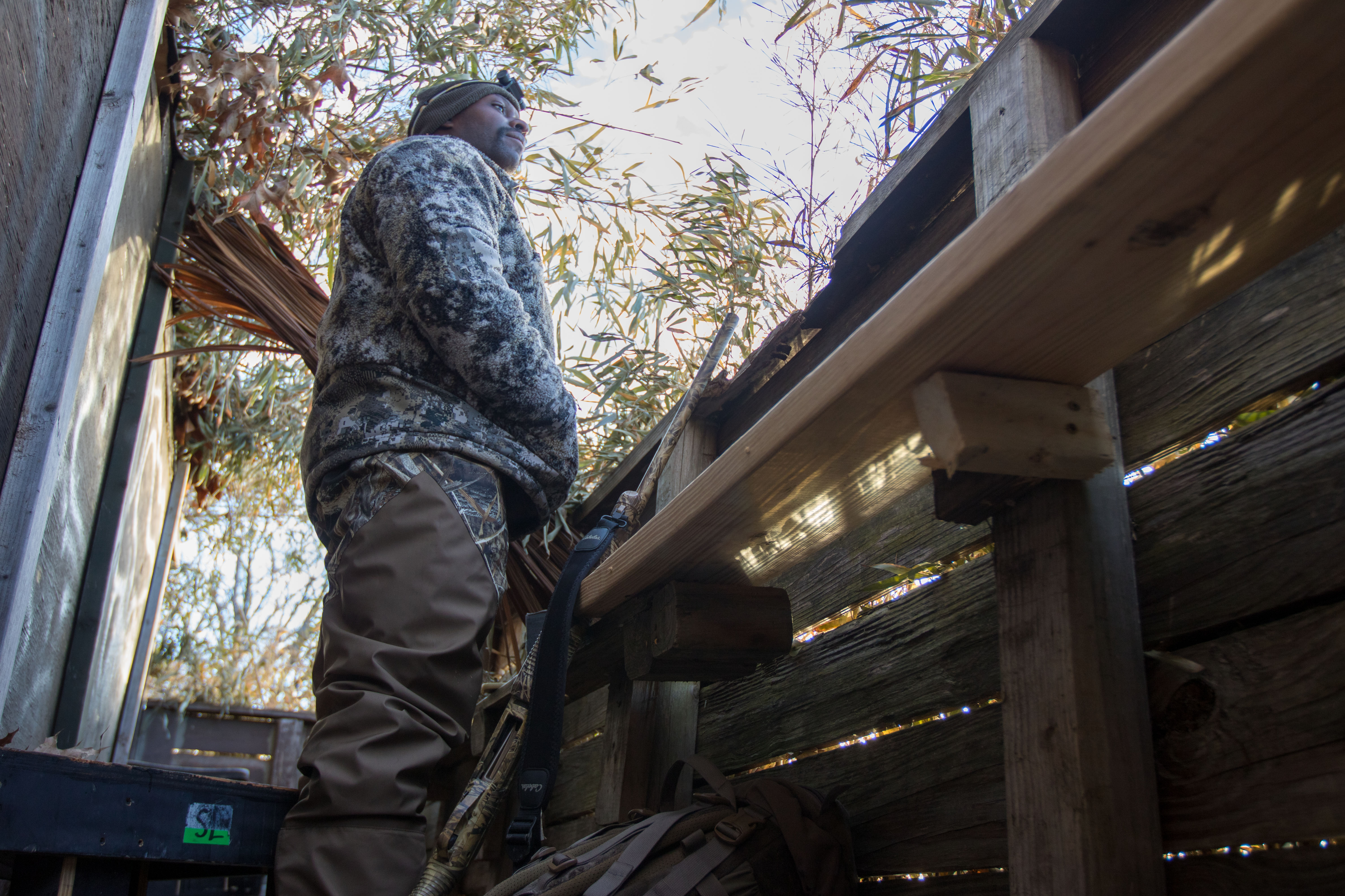 A duck hunter standing up in a brushed in duck blind.
