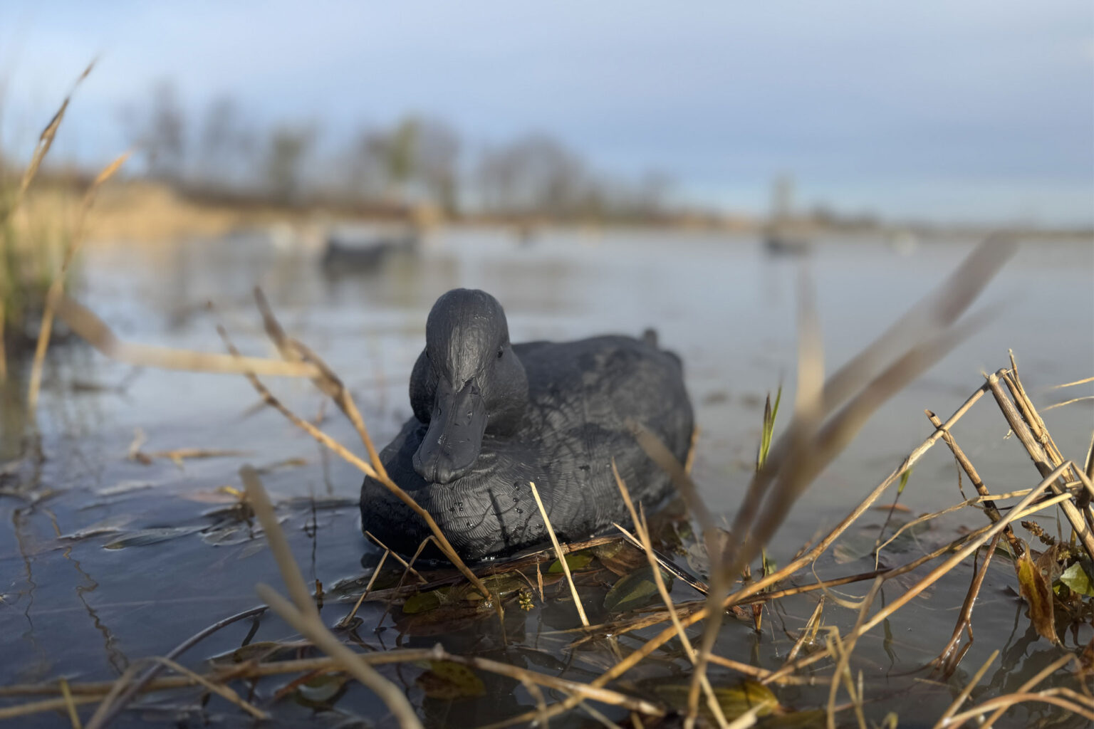 Rig’em Right BLACKOUTS Decoy Review