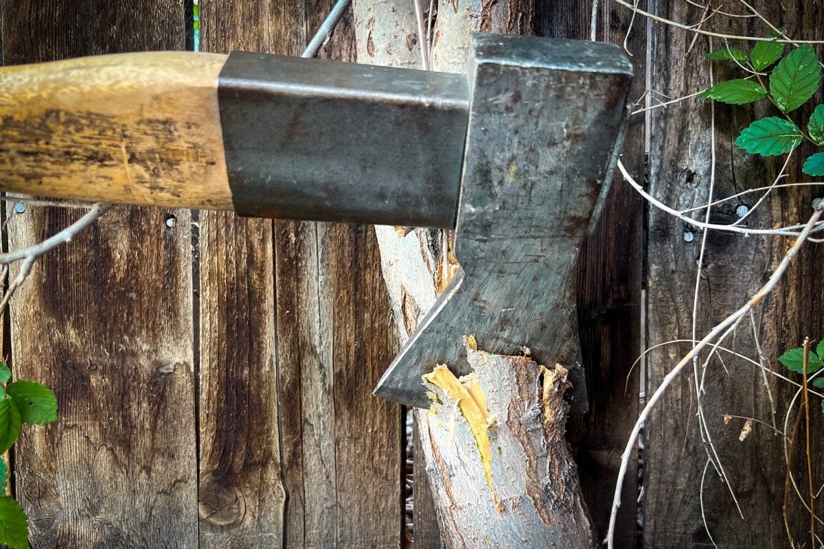 The STIHL Pro Universal Forestry Axe chopping a tree down
