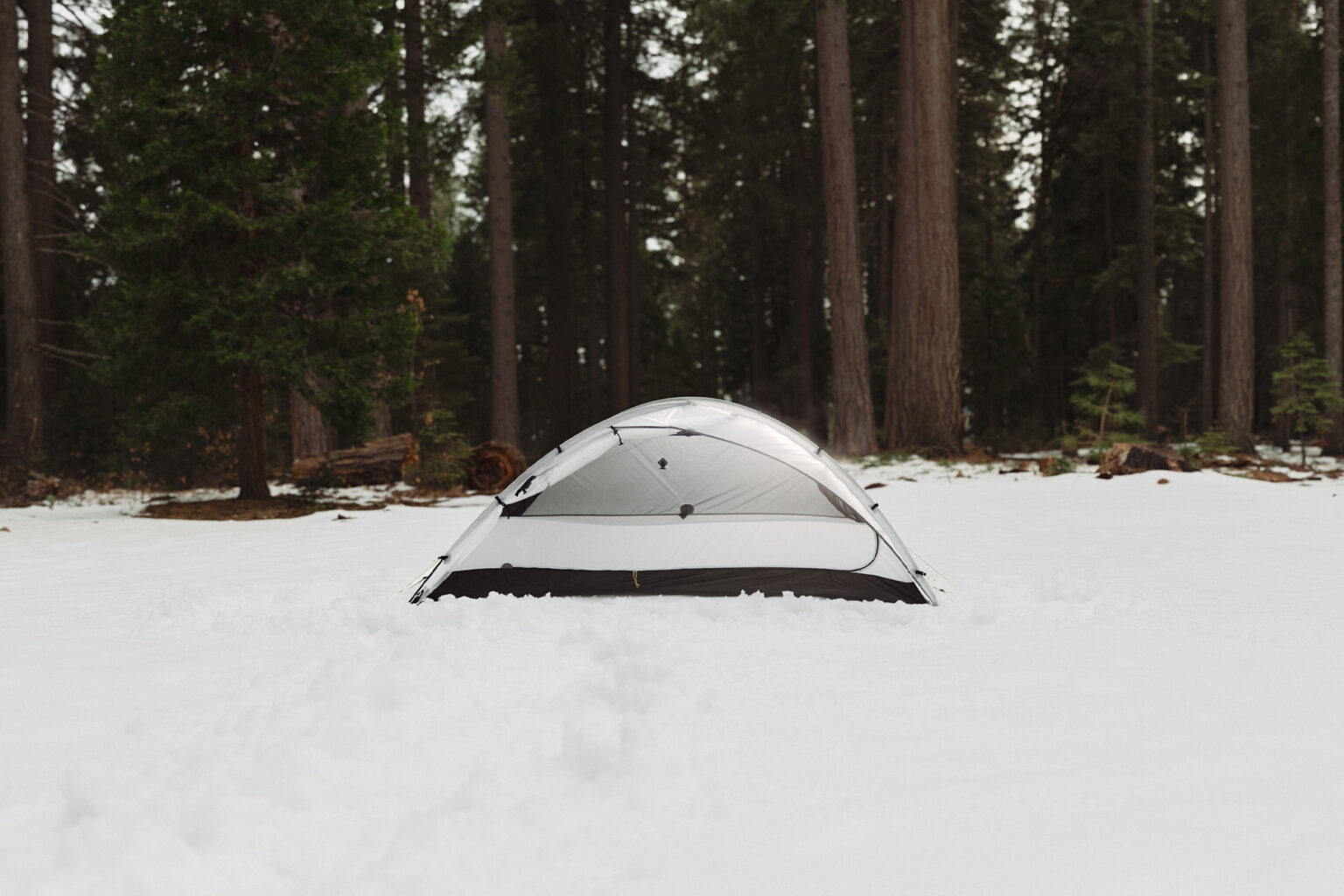 Tarptent ArcDome 1 Review | GearJunkie