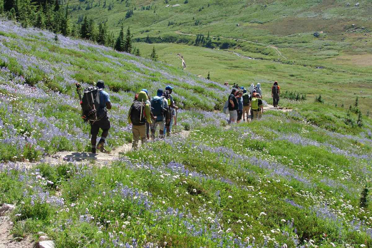 hikers on trail with wildflowers