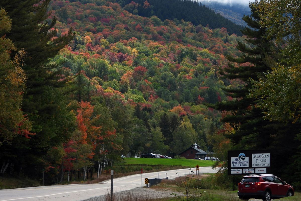 fall colors by road