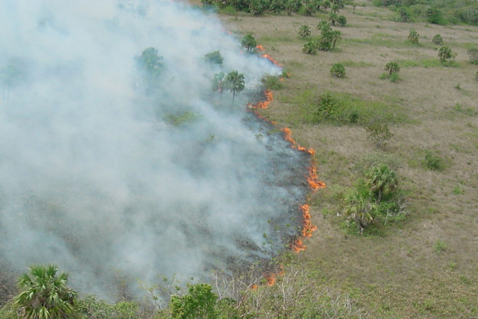Wildfire Rages in Iconic National Park