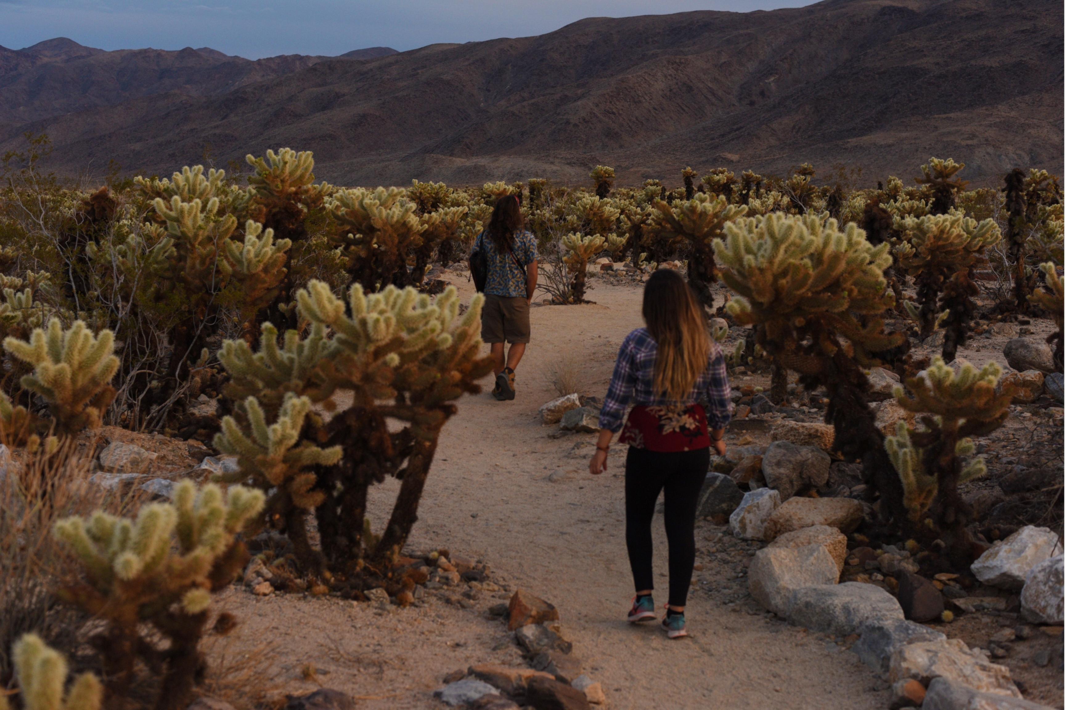 hikers on trail in desert