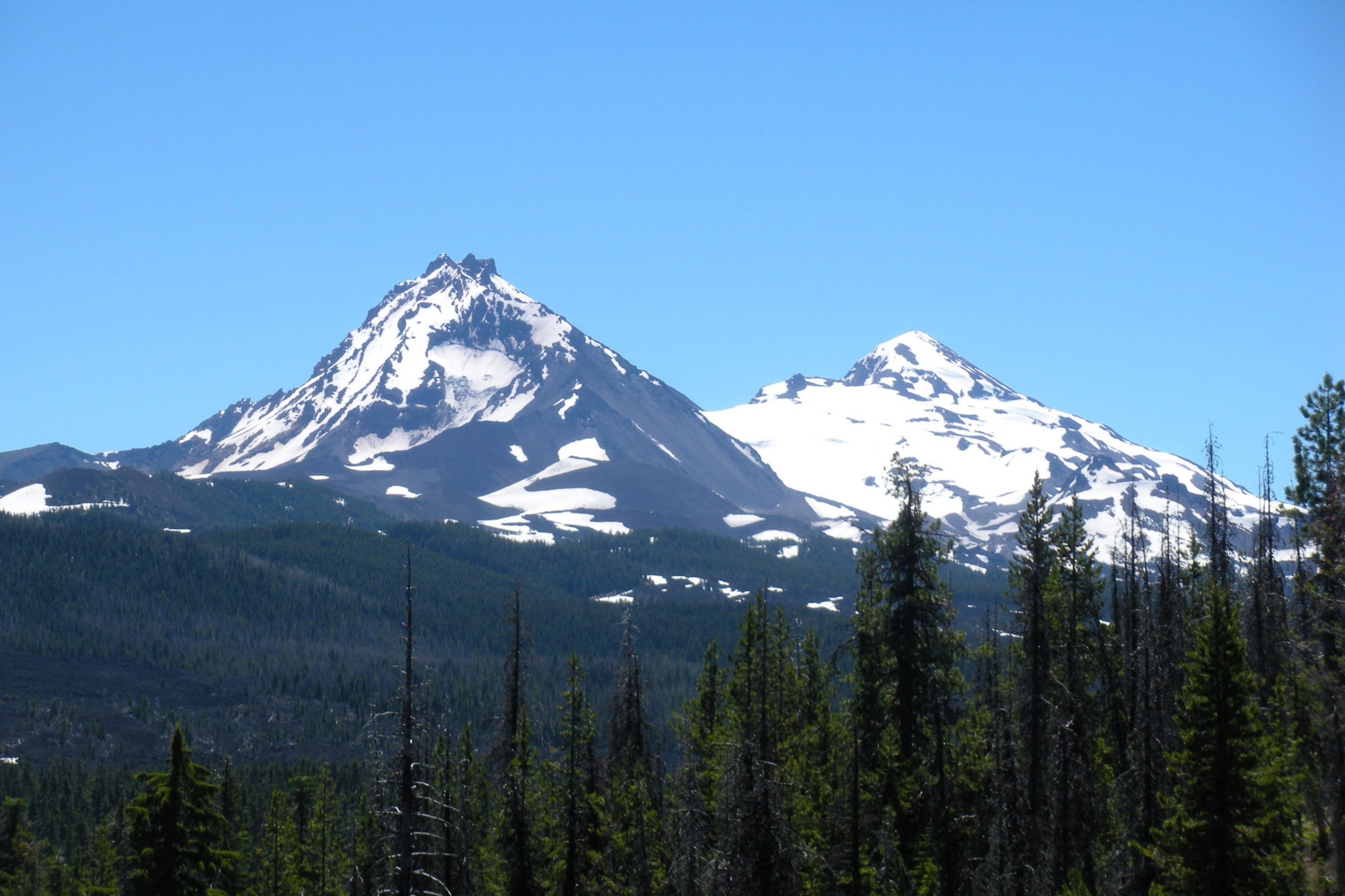 snowy mountains in forest