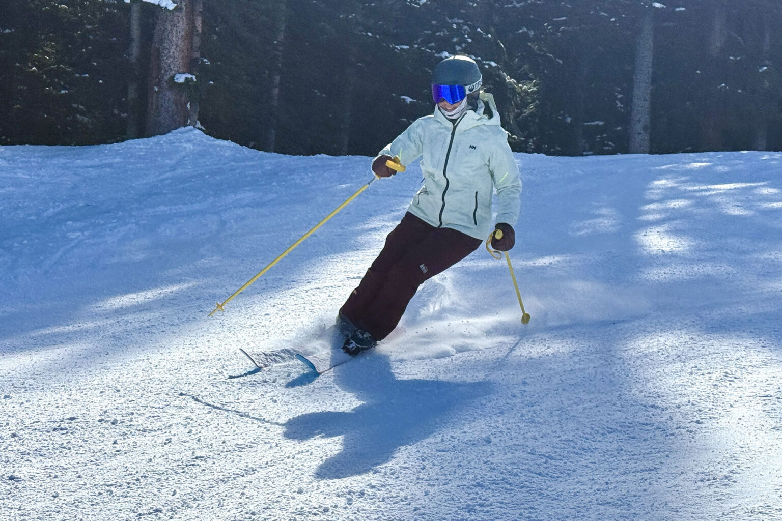 Yardsale P1 Resort Poles Review