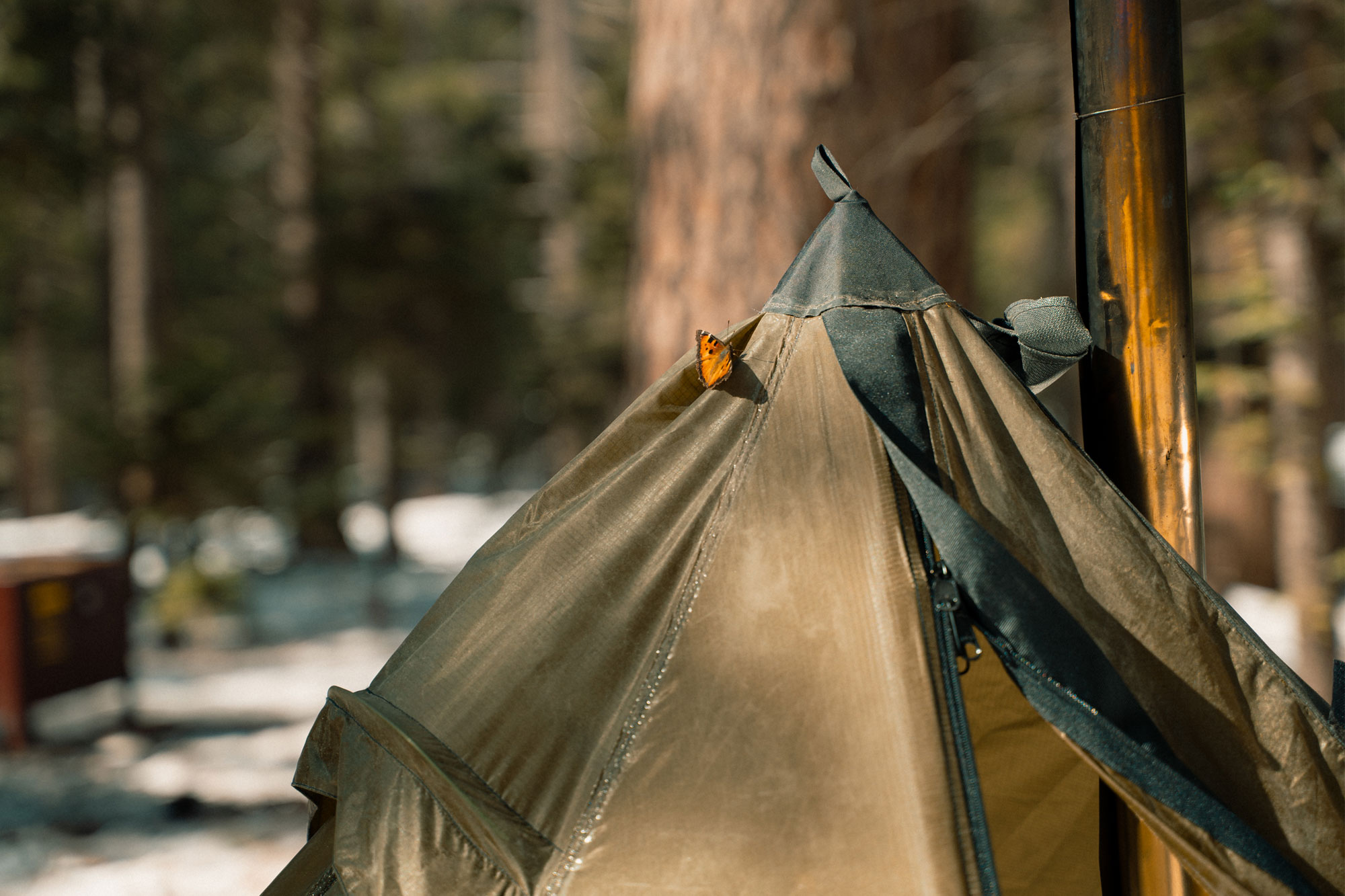 Seek Outside Cimarron 2.0 and a butterfly