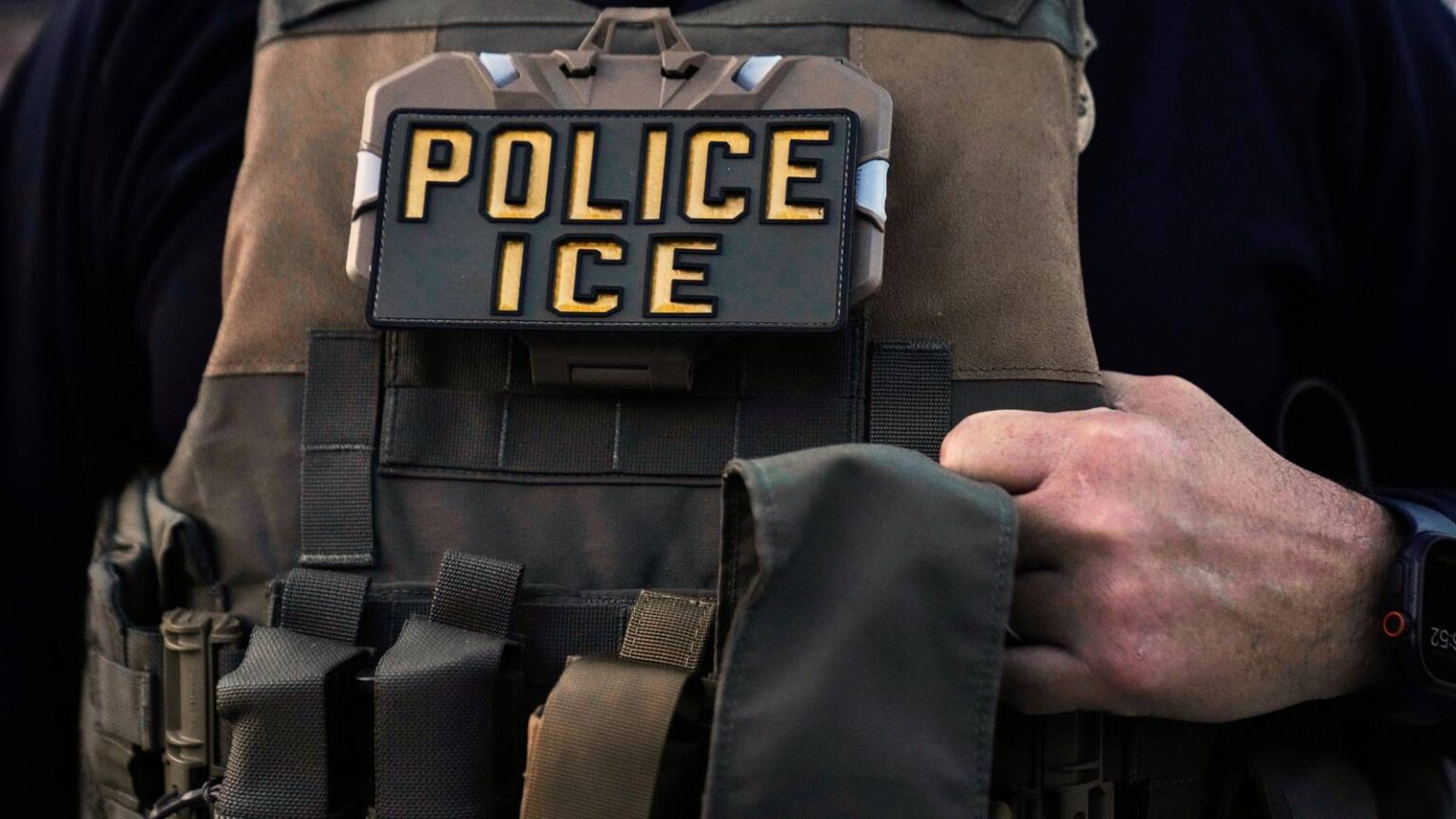 Former Private Prison Executive David Venturella Will Become Ice’s Acting Leader