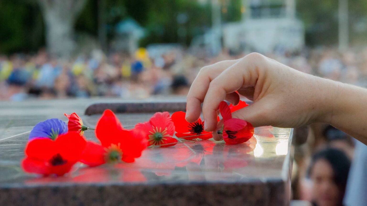 Memorial Day Poppy Started With 25 Flowers and Raised Billion for Veterans Memorial Day Poppy Started With 25 Flowers and Raised Billion for Veterans
