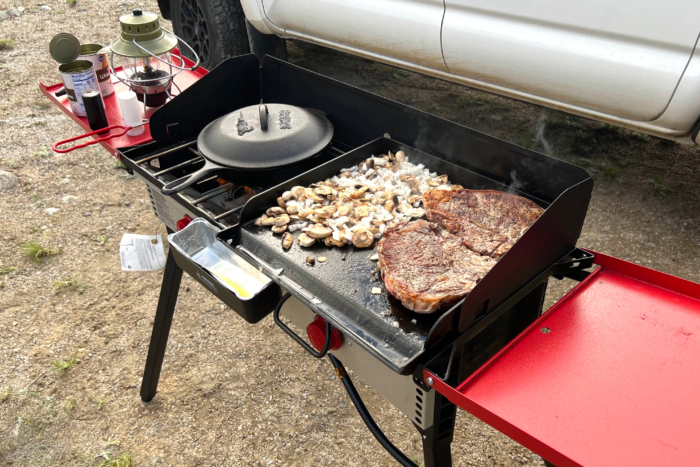 Camp Chef Pro 16