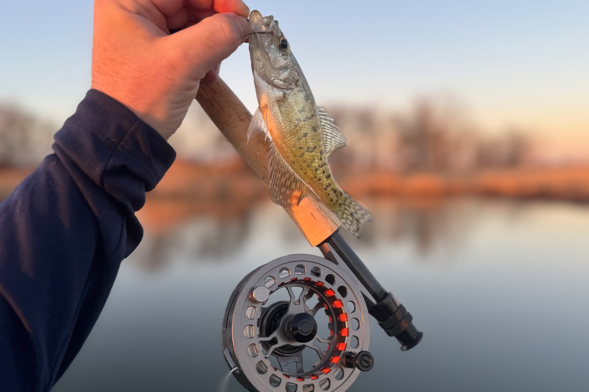 Pflueger President fly combo holding a small fish by the water