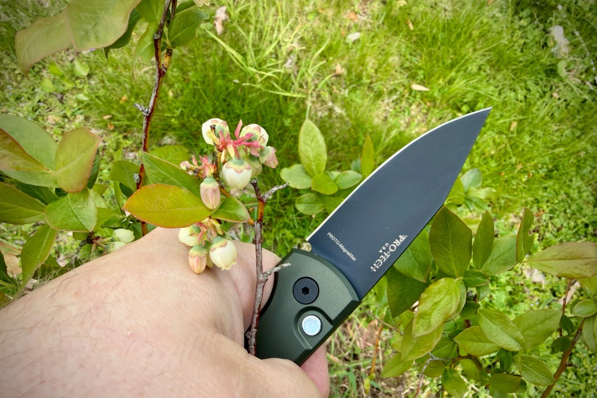 Pro-Tech/Chaves Scapegoat Compact held open beside green leaves and small flowers outdoors