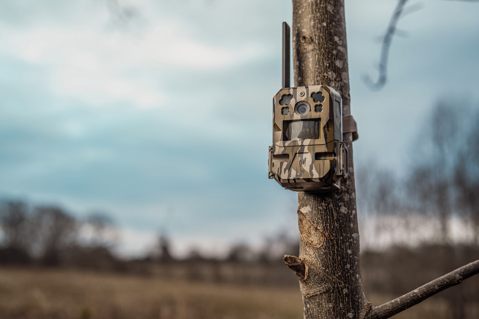 Idaho Just Put Guardrails on Game Cameras and Other High-Tech Hunting Gear