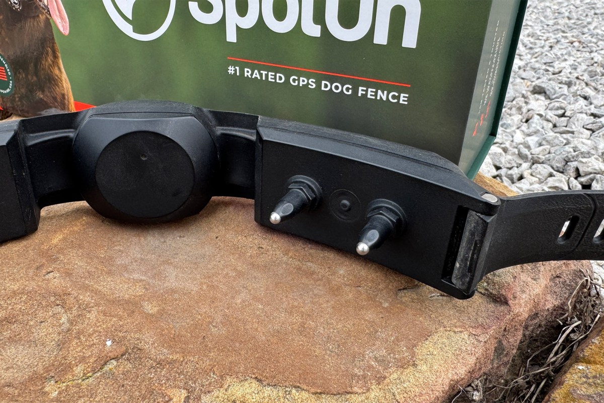Close-up of the SpotOn NOVA collar contact points and charging area